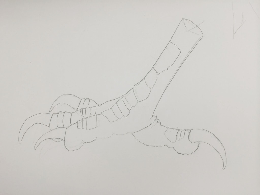 Claw inspiration drawing