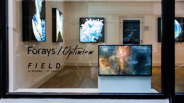 EXHIBITION: FORAYS / OPTIMISM BY FIELD
