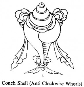 Buddhist conch shell symbol 