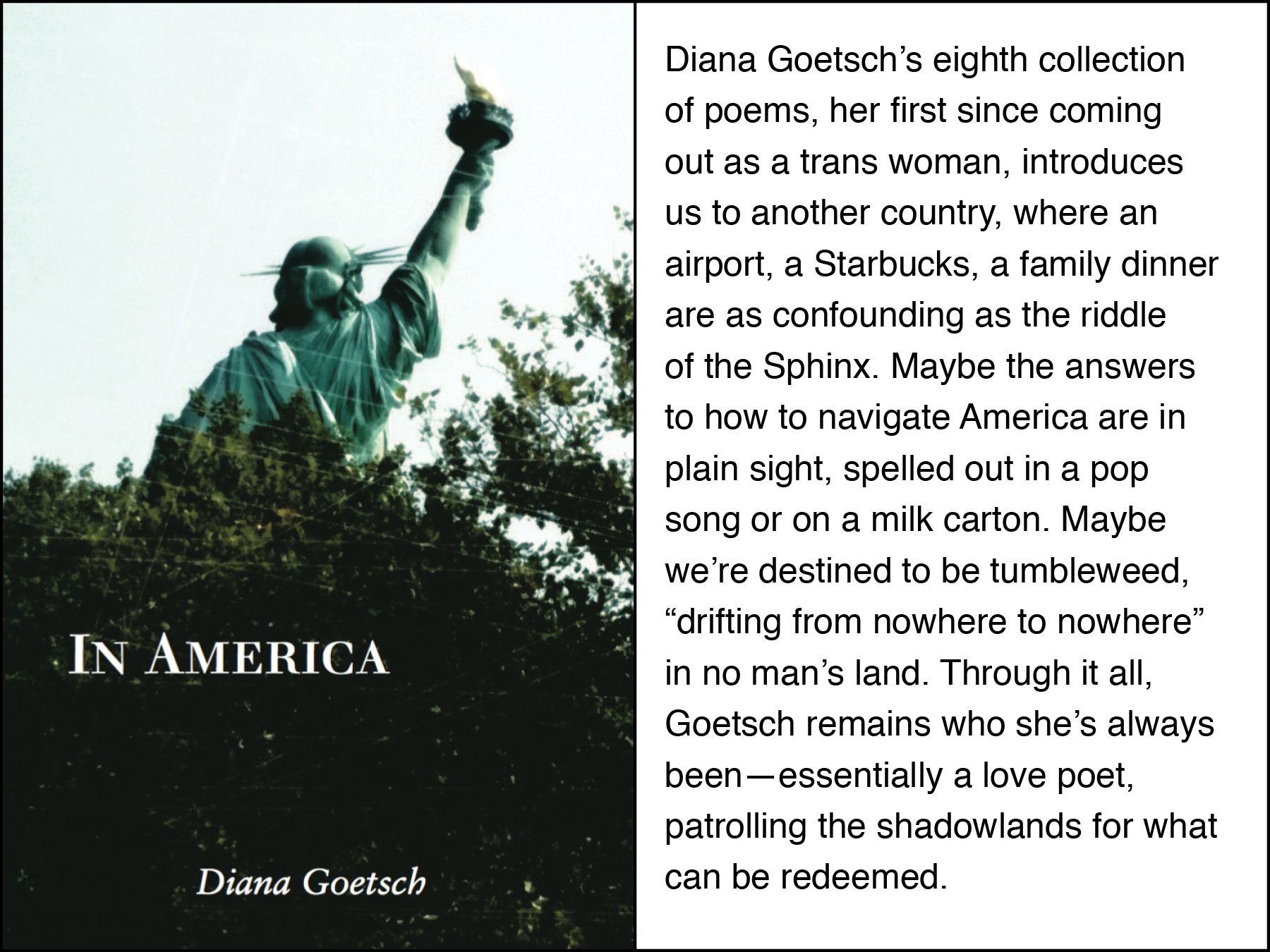 Diana Goetsch’s newest poetry collection now out