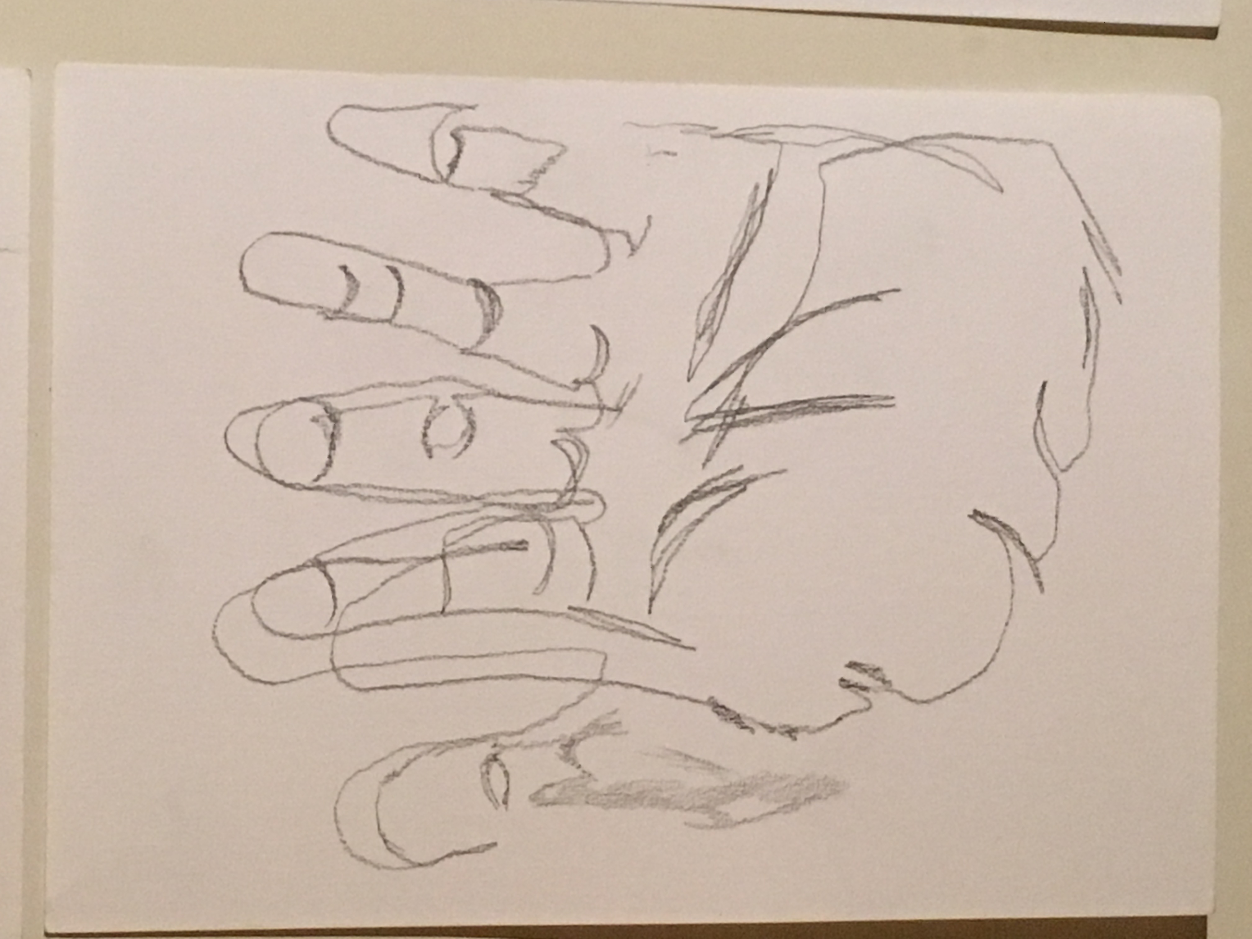 WK 1 Exercise Hand Drawings