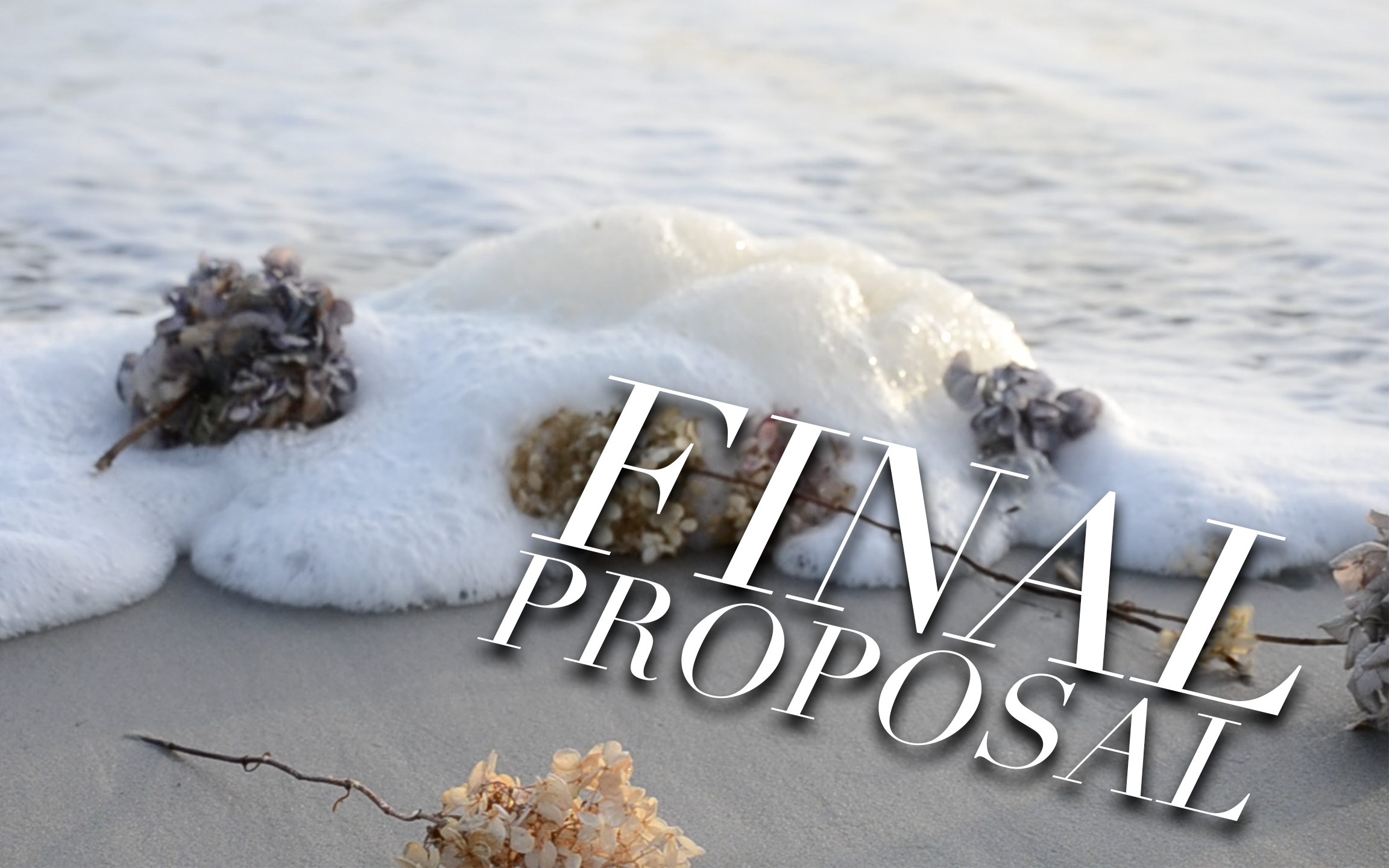 SHIFT: Final Project Proposal