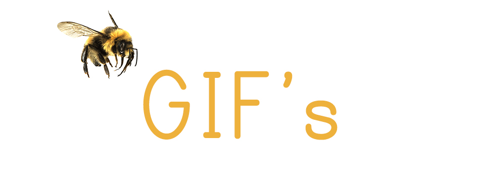 GIF’s