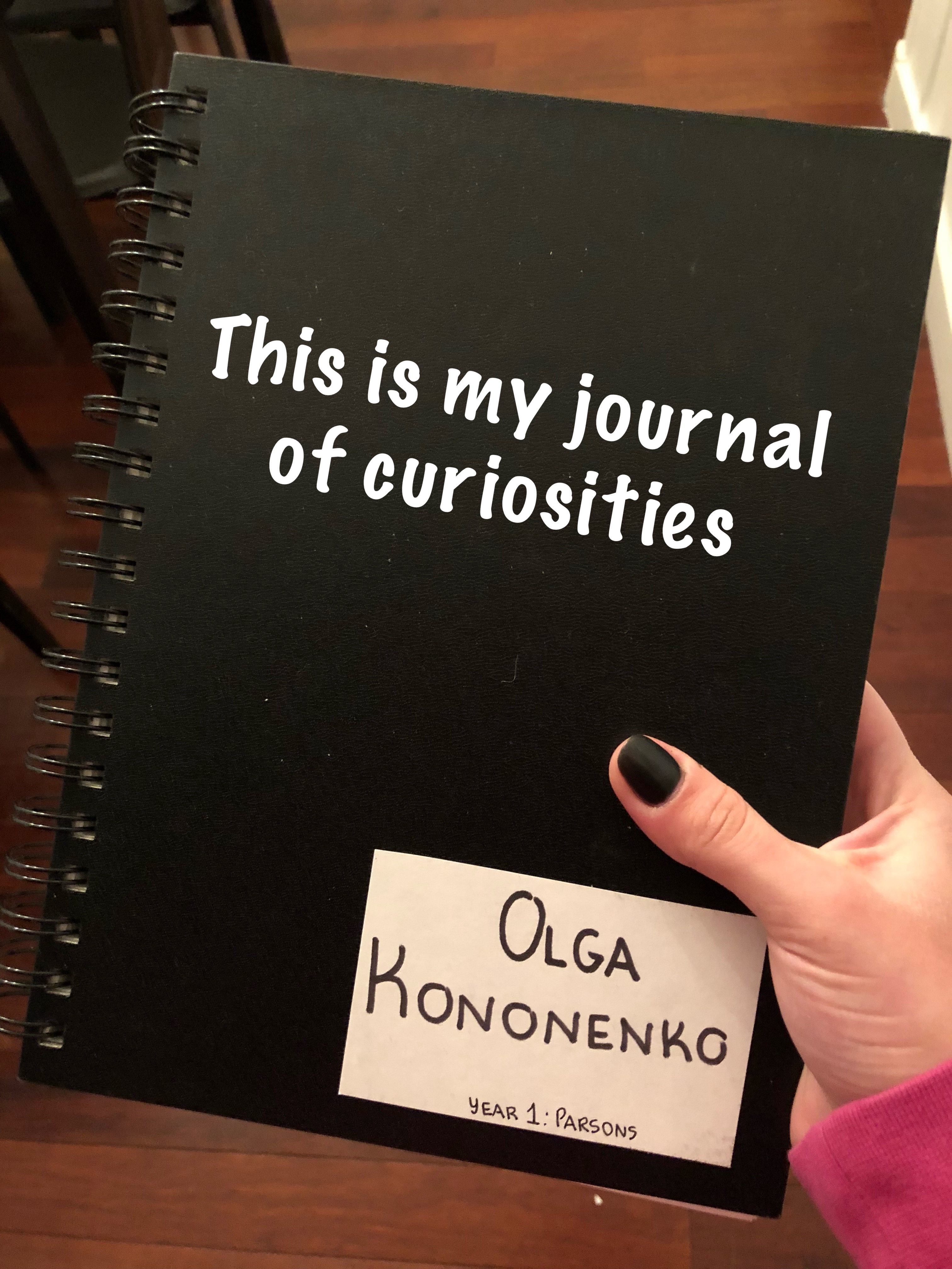 Curiosity Journal, 7 days of collecting