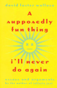 A-supposedly-fun-thing-first-edition-cover