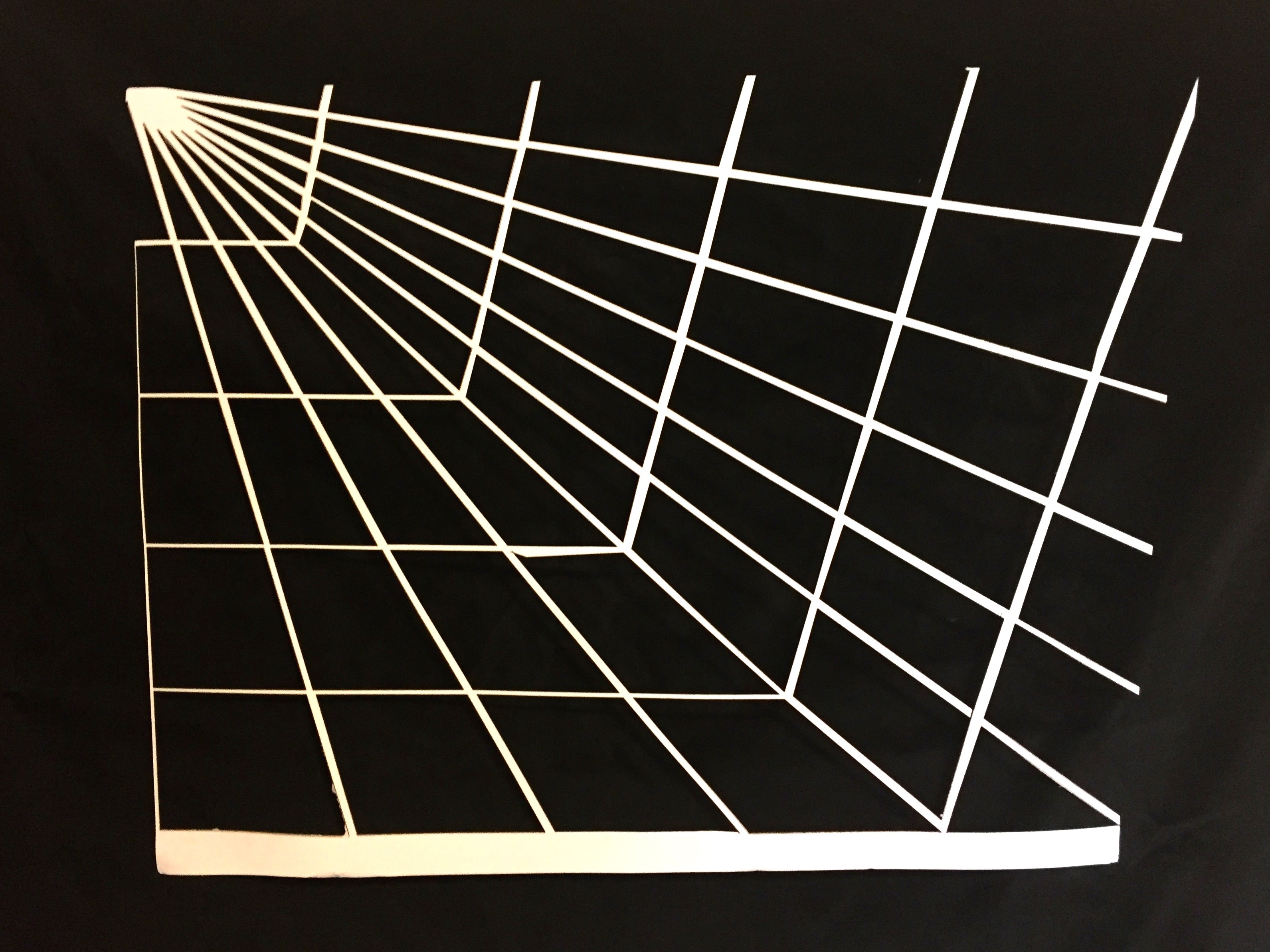 Laser Cut Spiderweb