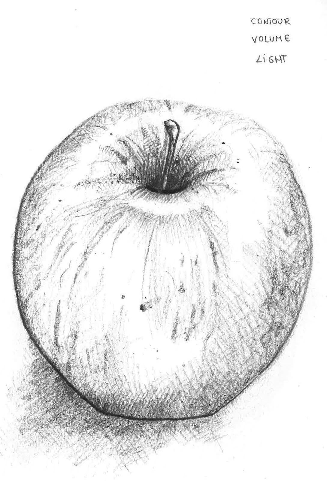 Live drawings from an apple