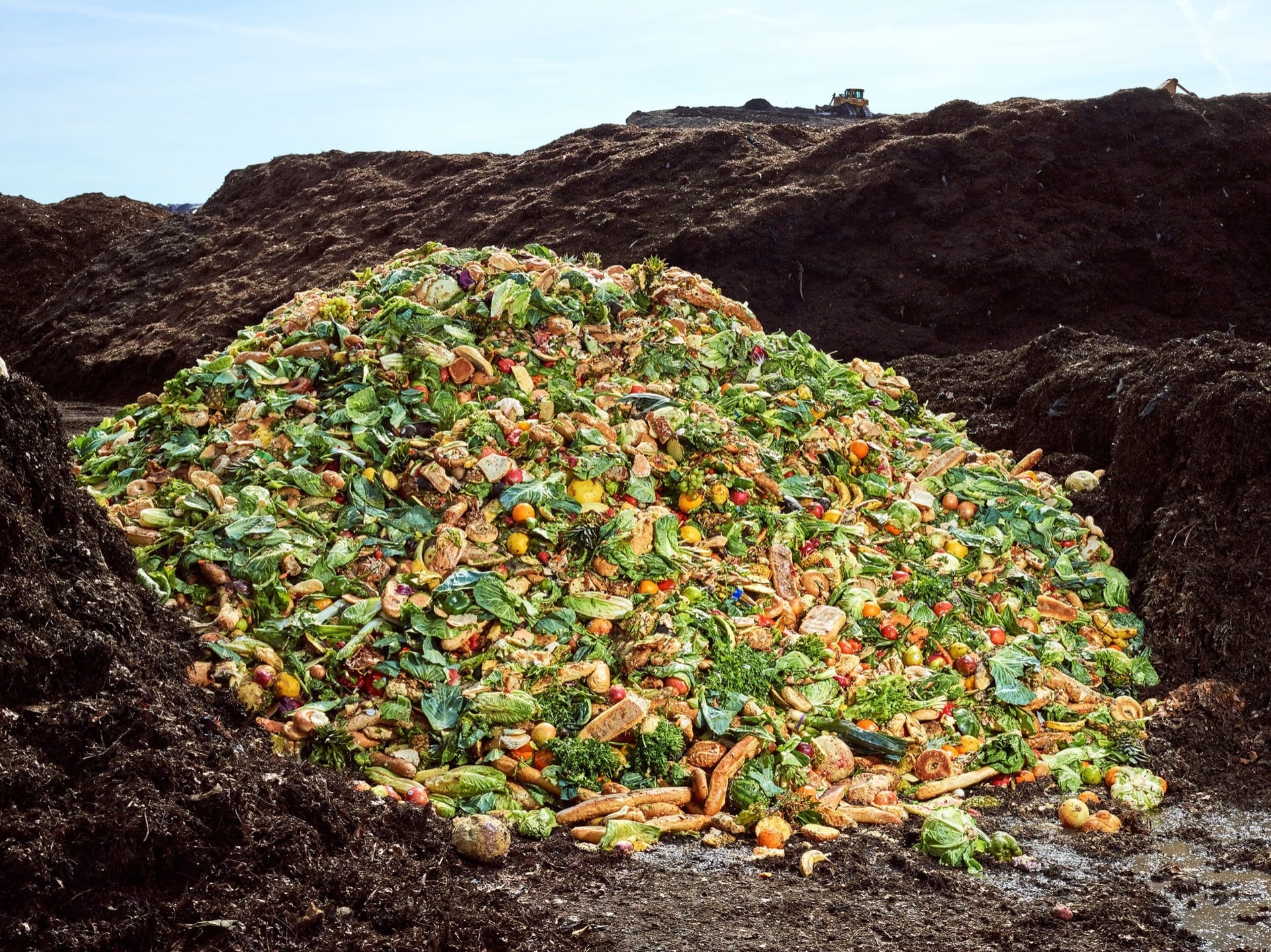 Response to “The Compost King of New York”