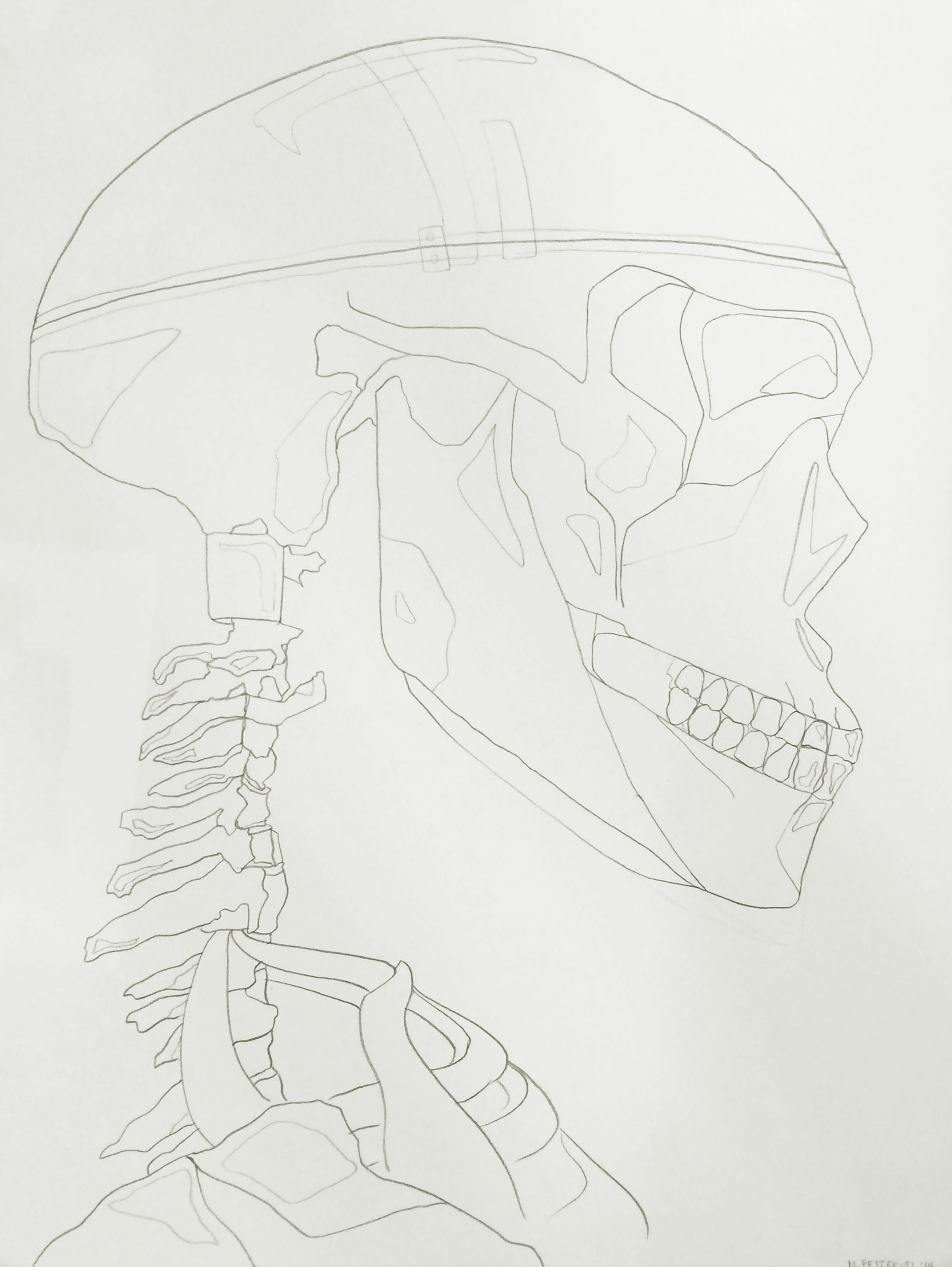 Contour Drawing: Skeleton