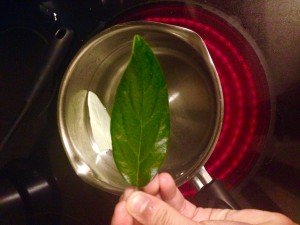 This is my first attempt to boil the leaves as was listed in the instructions to make the perfume/fragrance