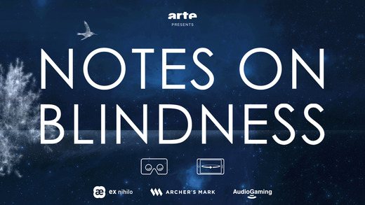 Notes on Blindness VR