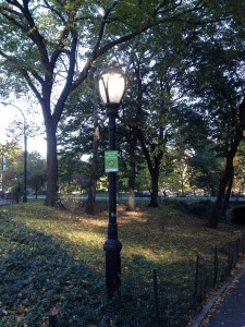 A Street Lamp At The Park.