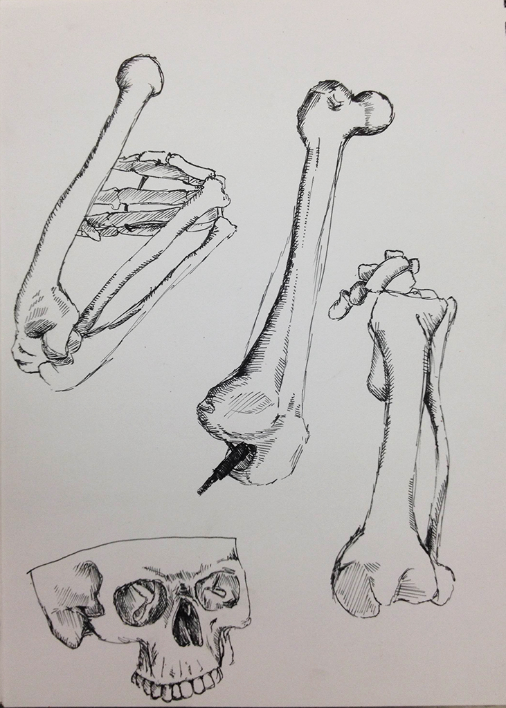 Integrative Studio: +Plectic Bone Studies & A.I. Imagery.