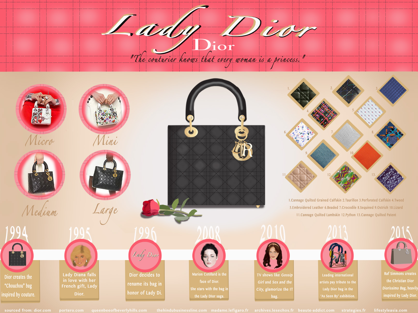 Lady Dior FINAL INFOGRAPHIC