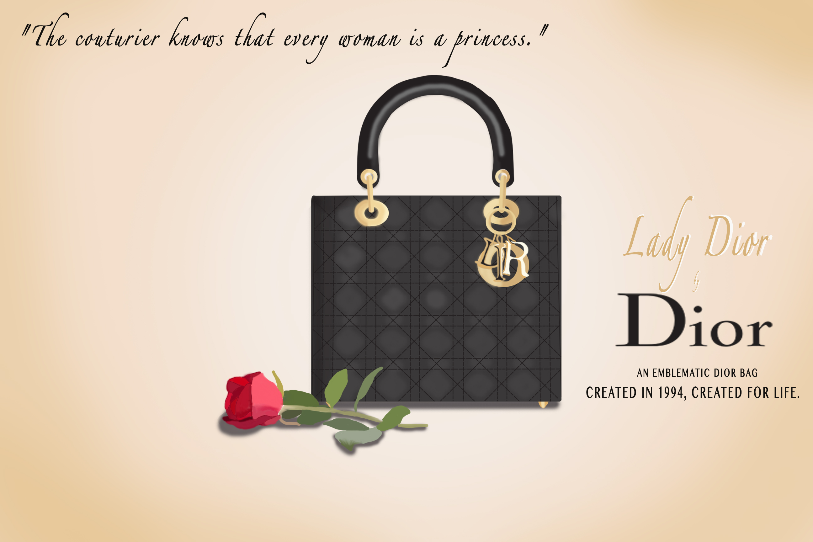 Bridge 3: Lady Dior Infographic Ad Campaign