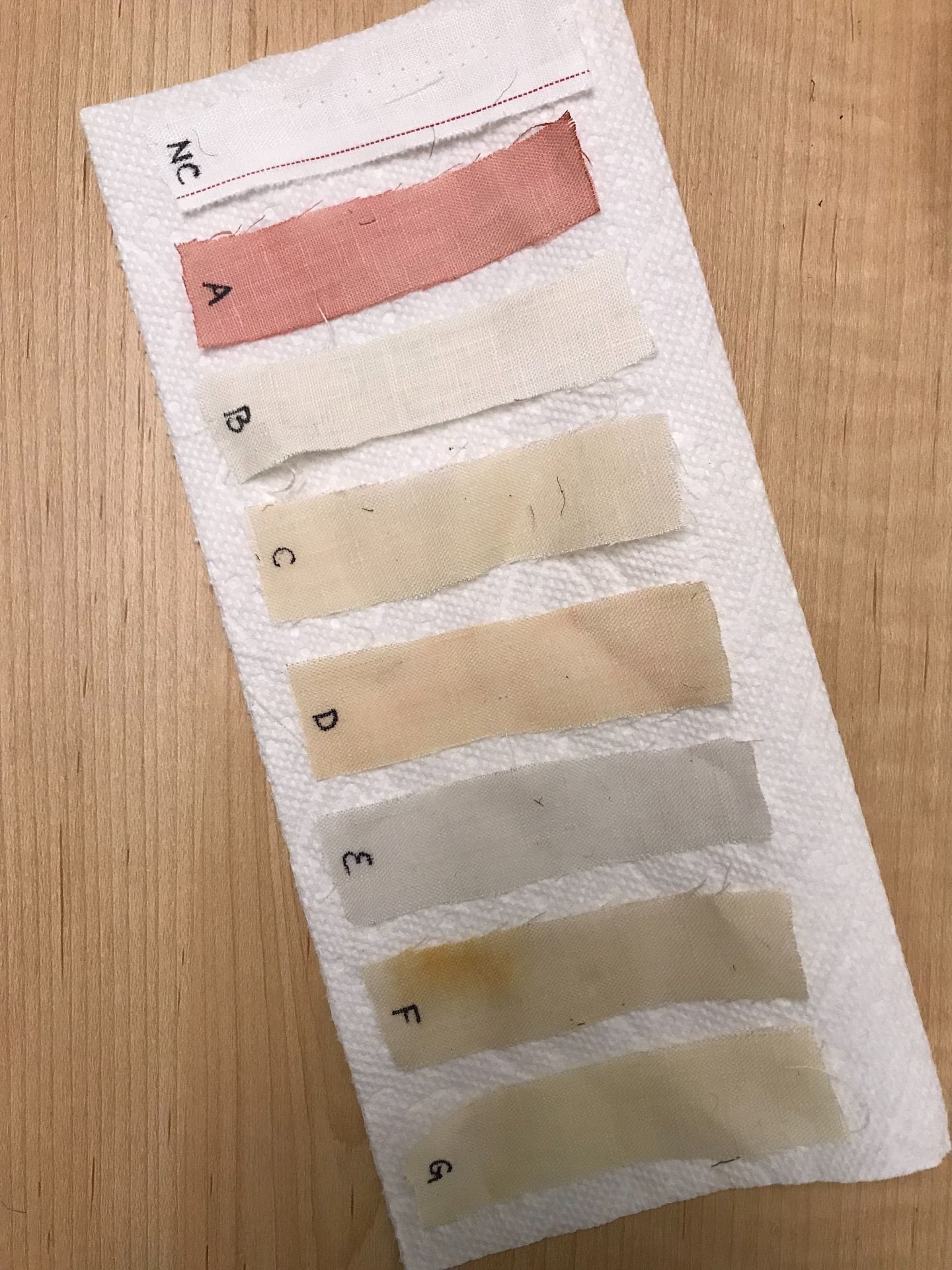 Natural Dye Experiment