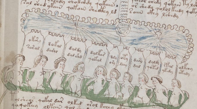 Voynich Manuscript Reflection