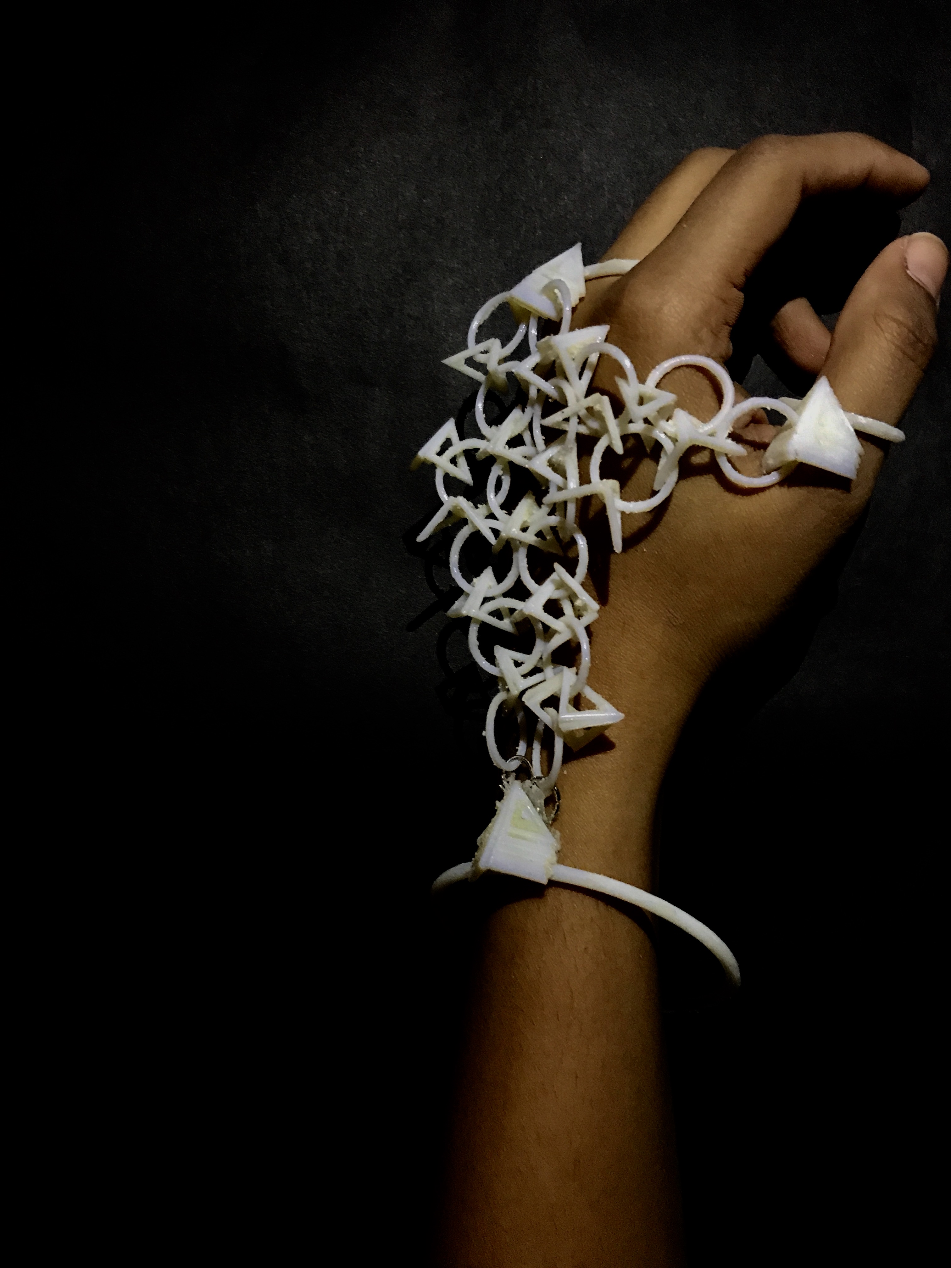 The Armadillo Project- Digital fabrication