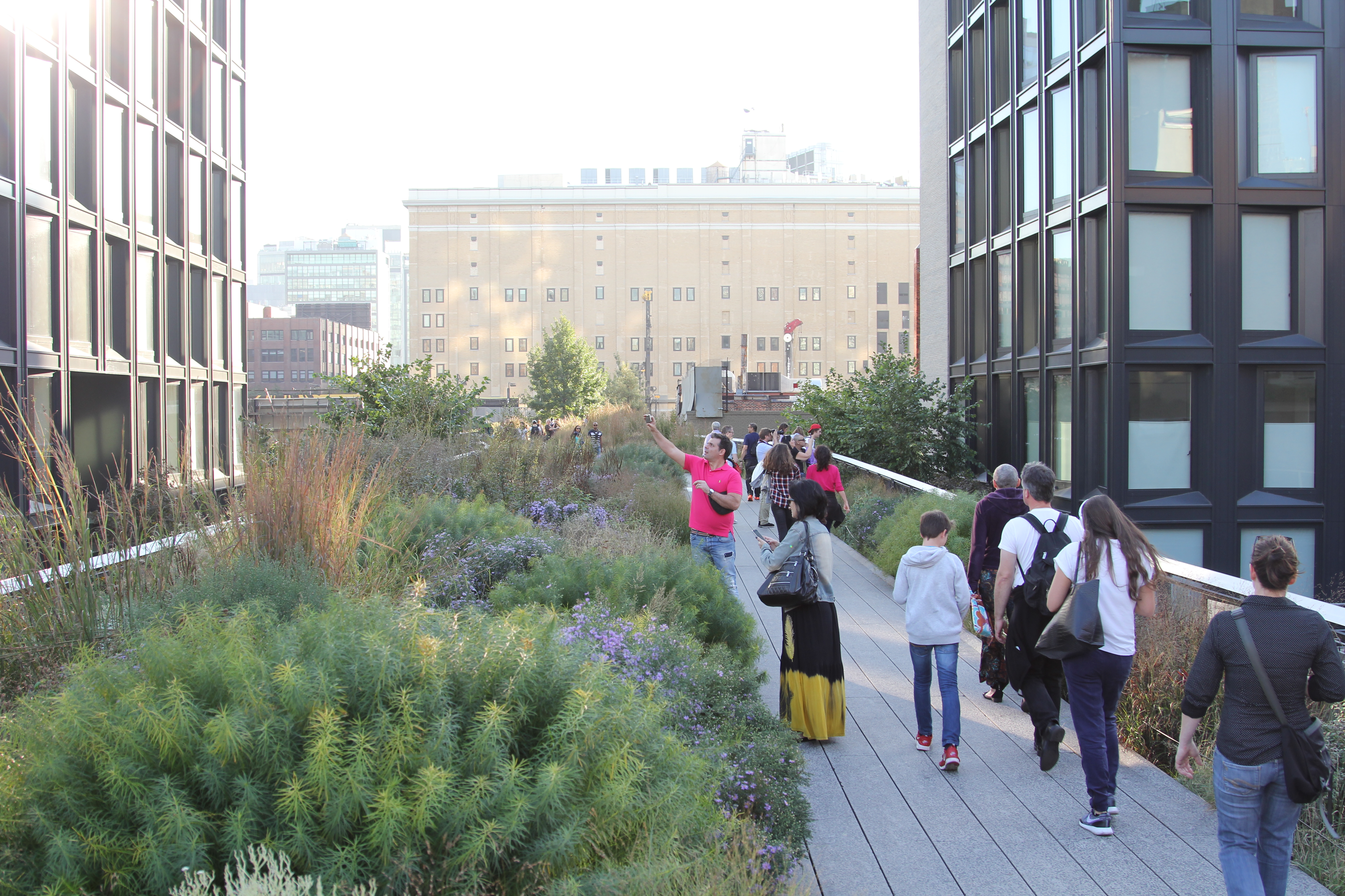 Response to “Cut, Folded, Pressed, and Other Actions” / High Line Visit