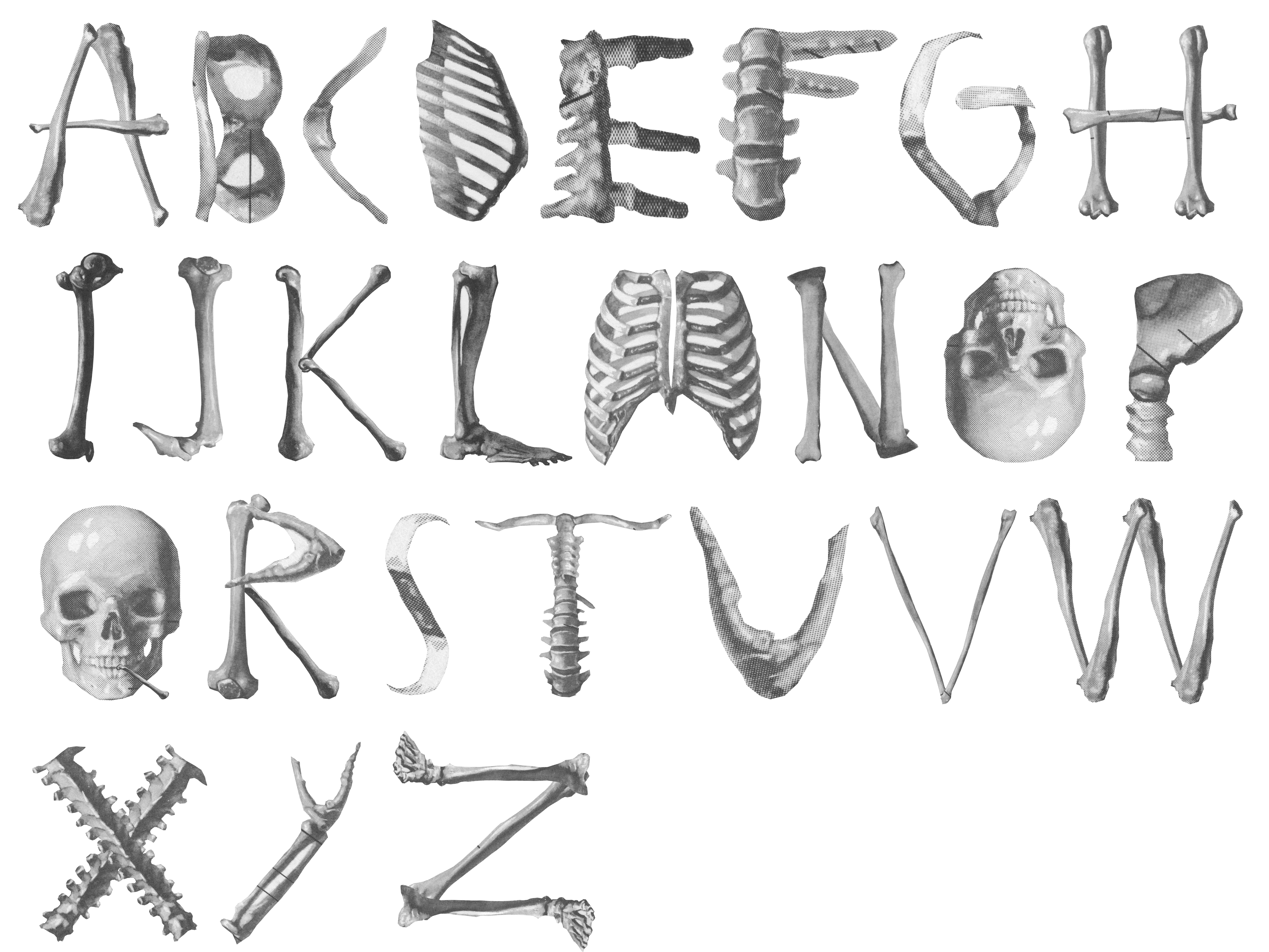 Skeleton Alphabet Drawing/Imaging