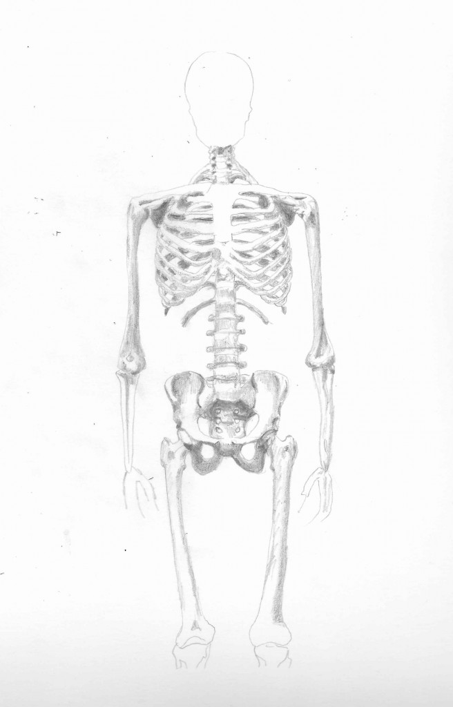 skelaton-scan-drawing