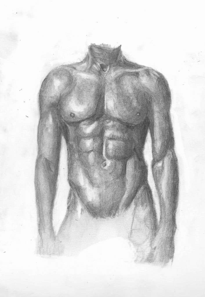 torso-scan-drawing