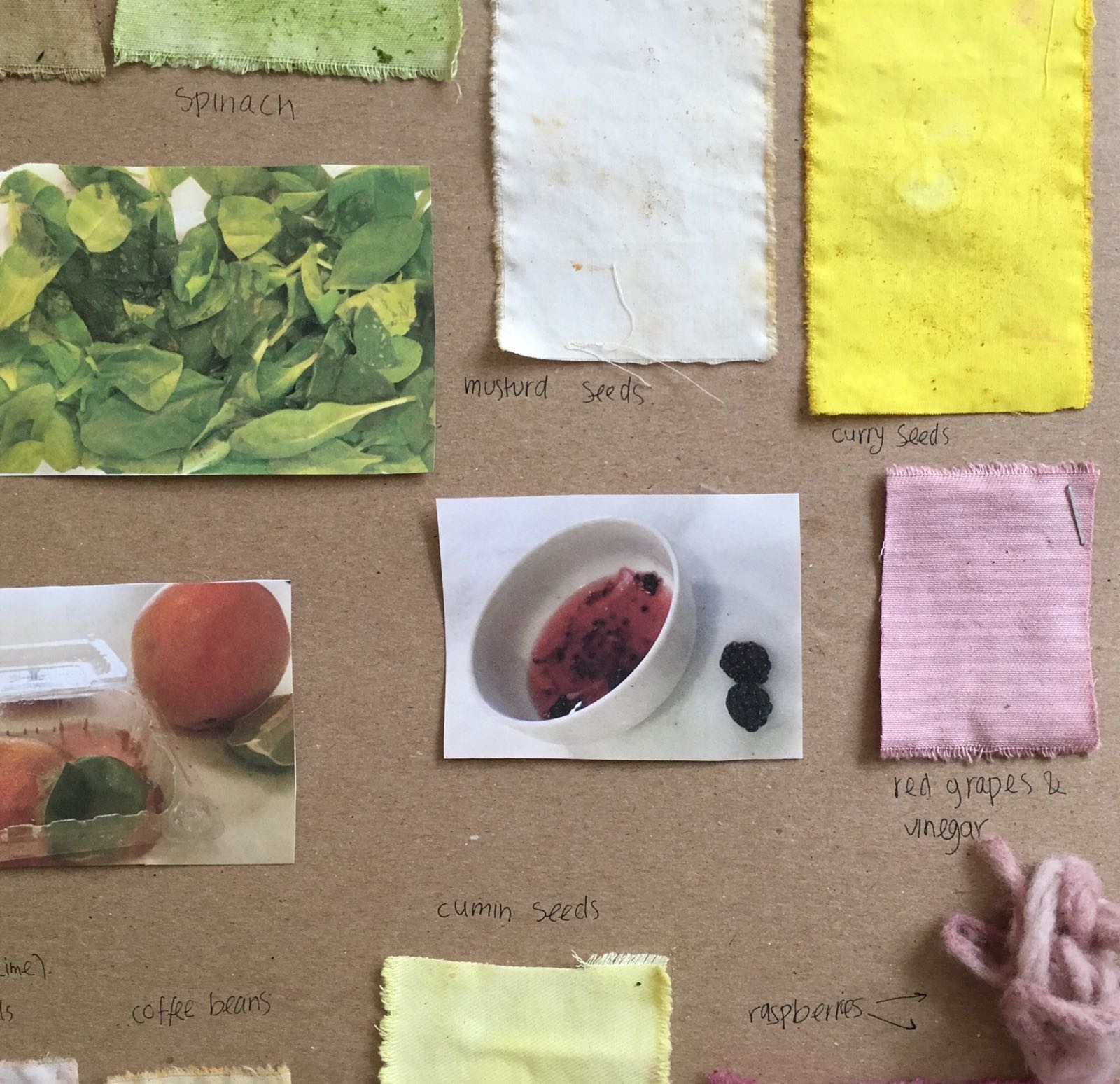 Sustainable Systems – Natural dye experiment