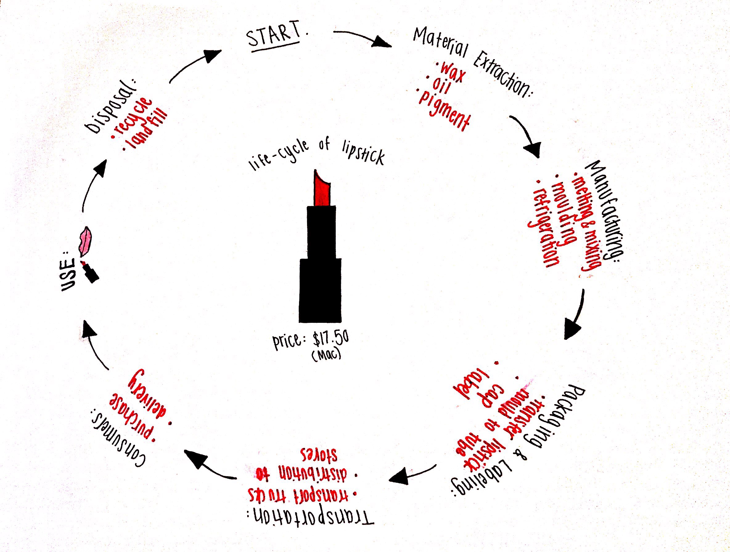 Life Cycle Diagram