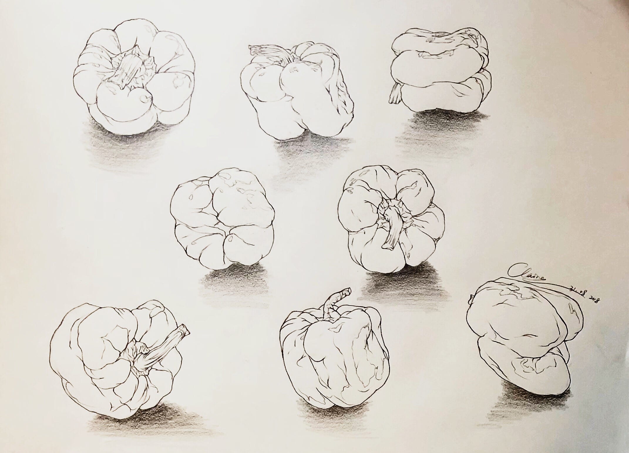 Eight Angles of a Pepper