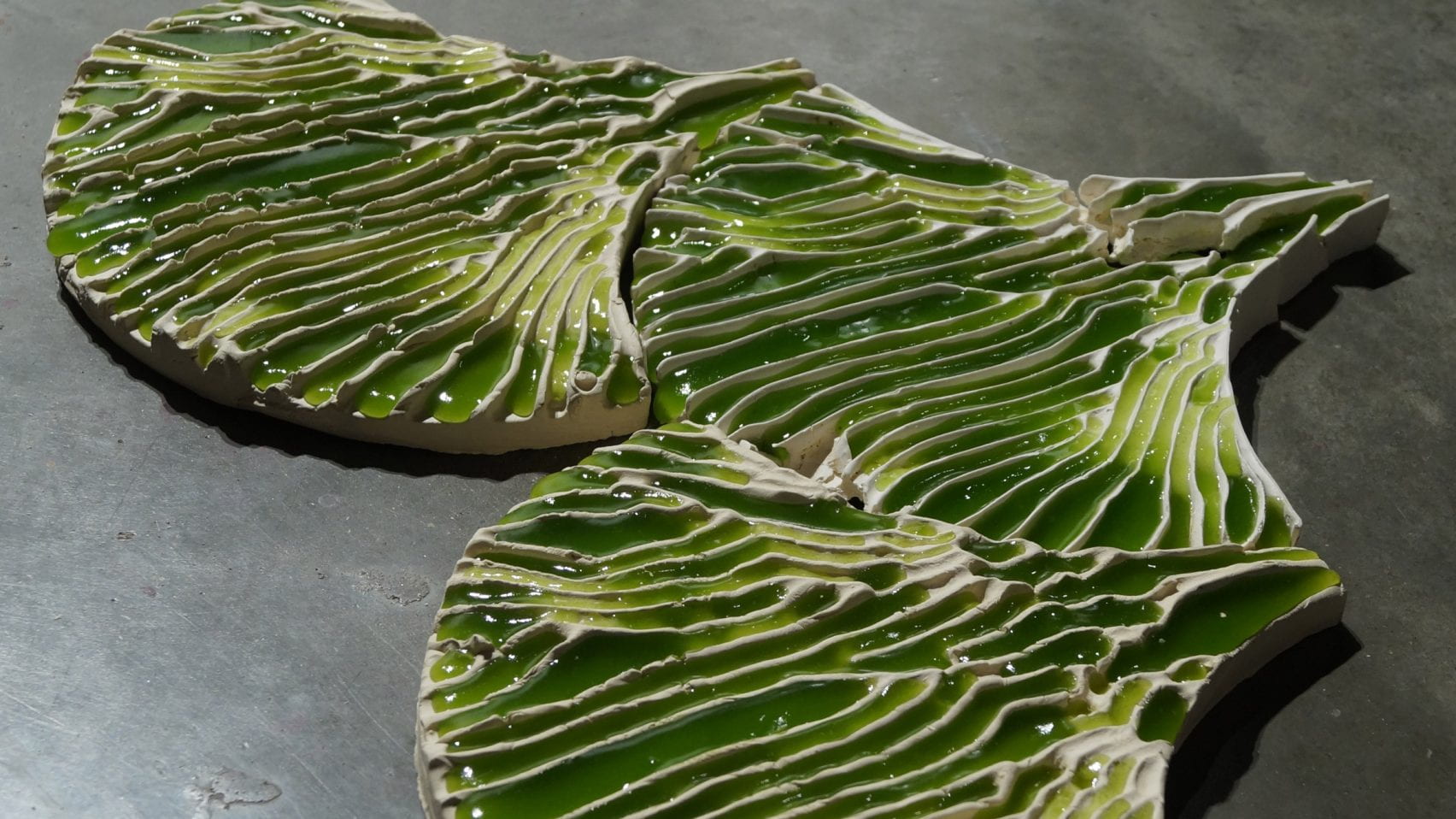Algae infused tiles to extract toxic dyes from water