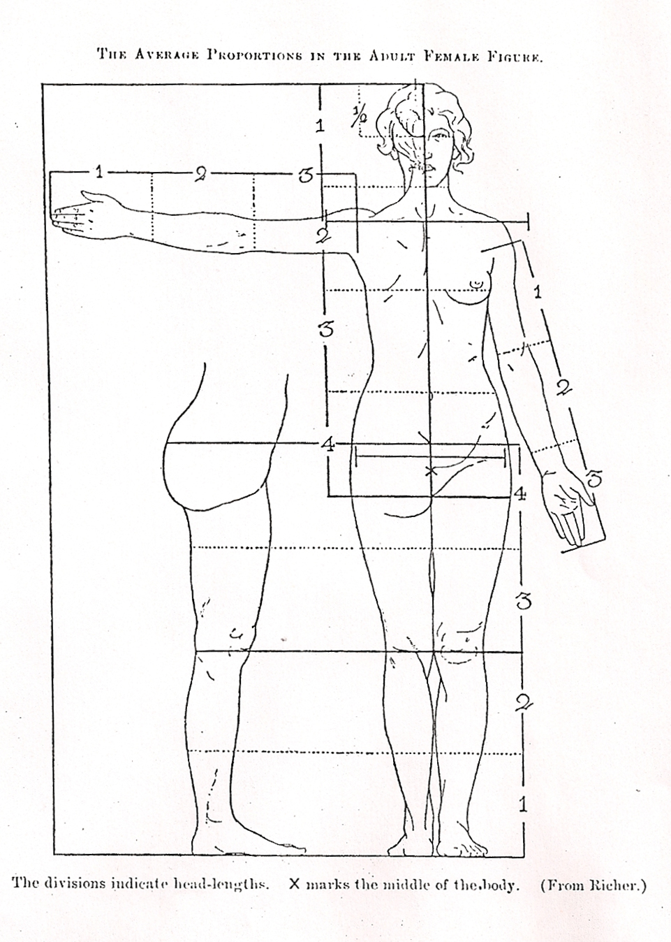 Proportions Female