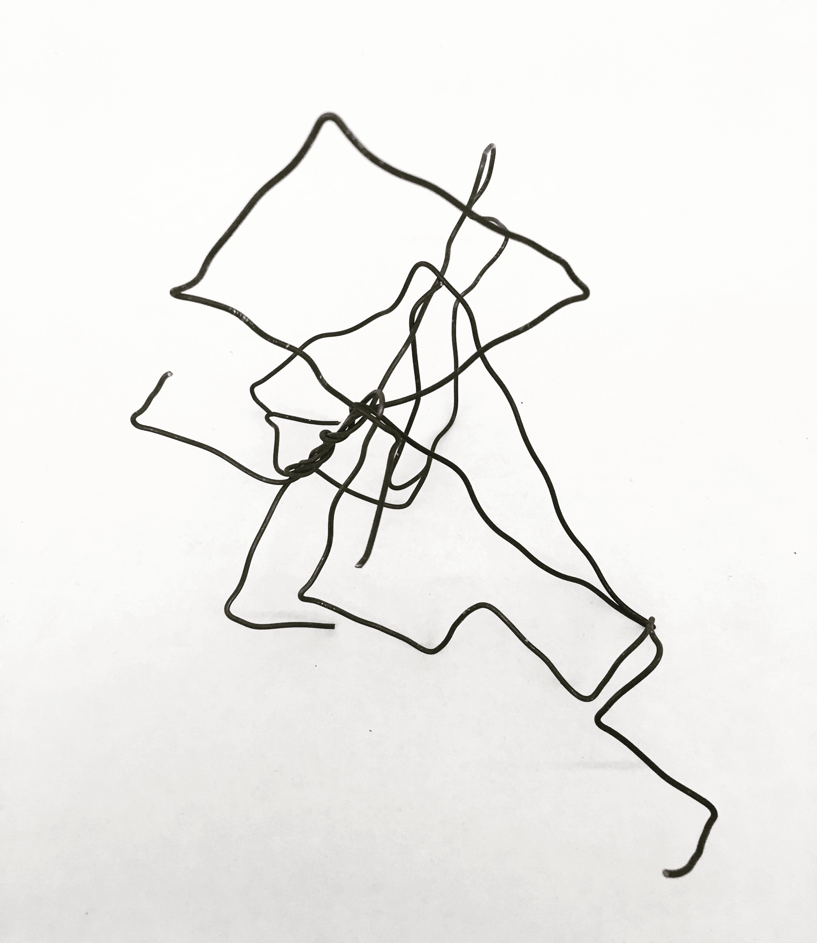 Wire Sculpture Using Geometric Lines and Forms