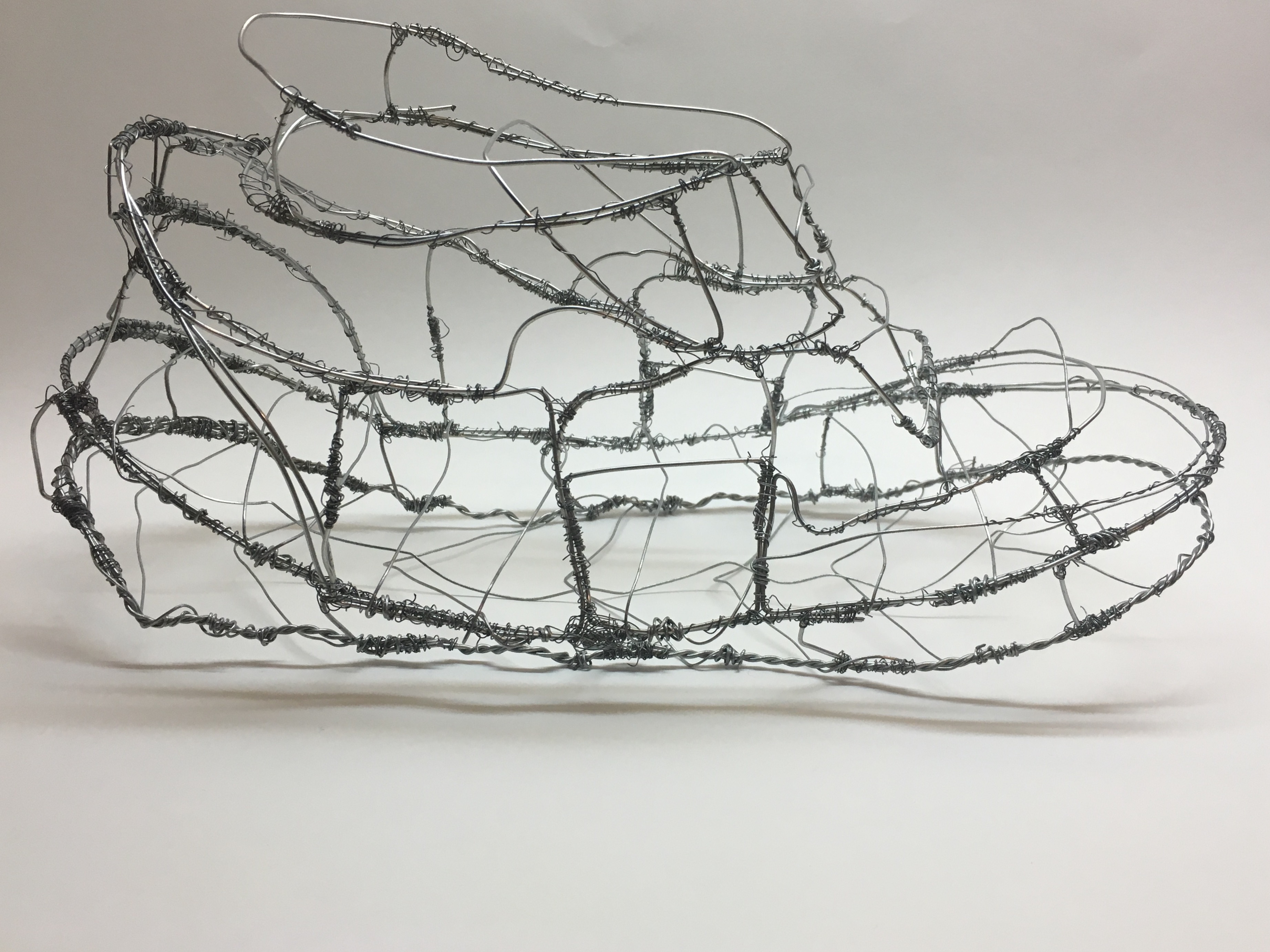 Space/Materiality: Haptic Space: Wire Shoe: Final Project