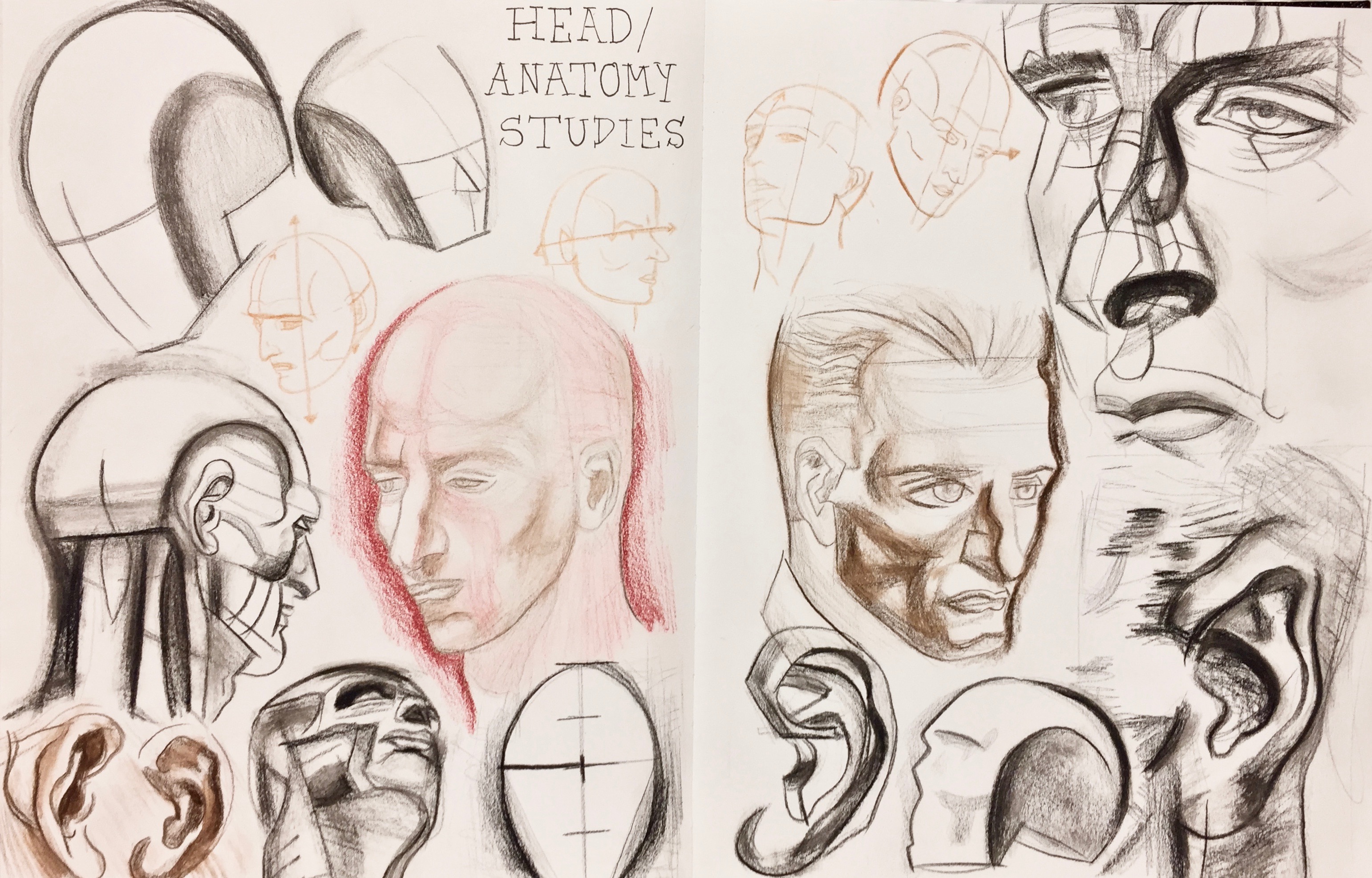 Head/Anatomy Sketchbook Study