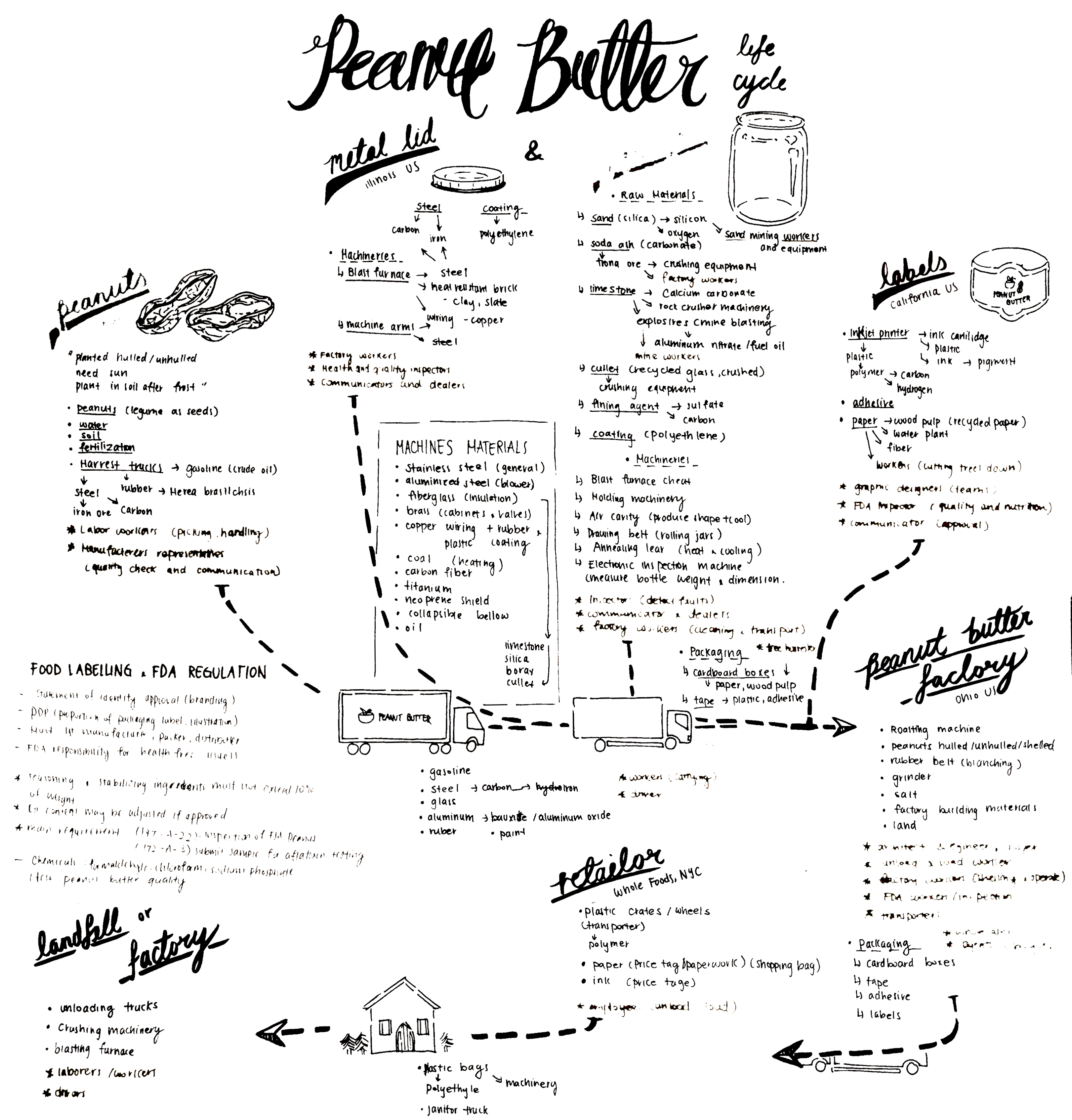 Peanut Butter Life Cycle