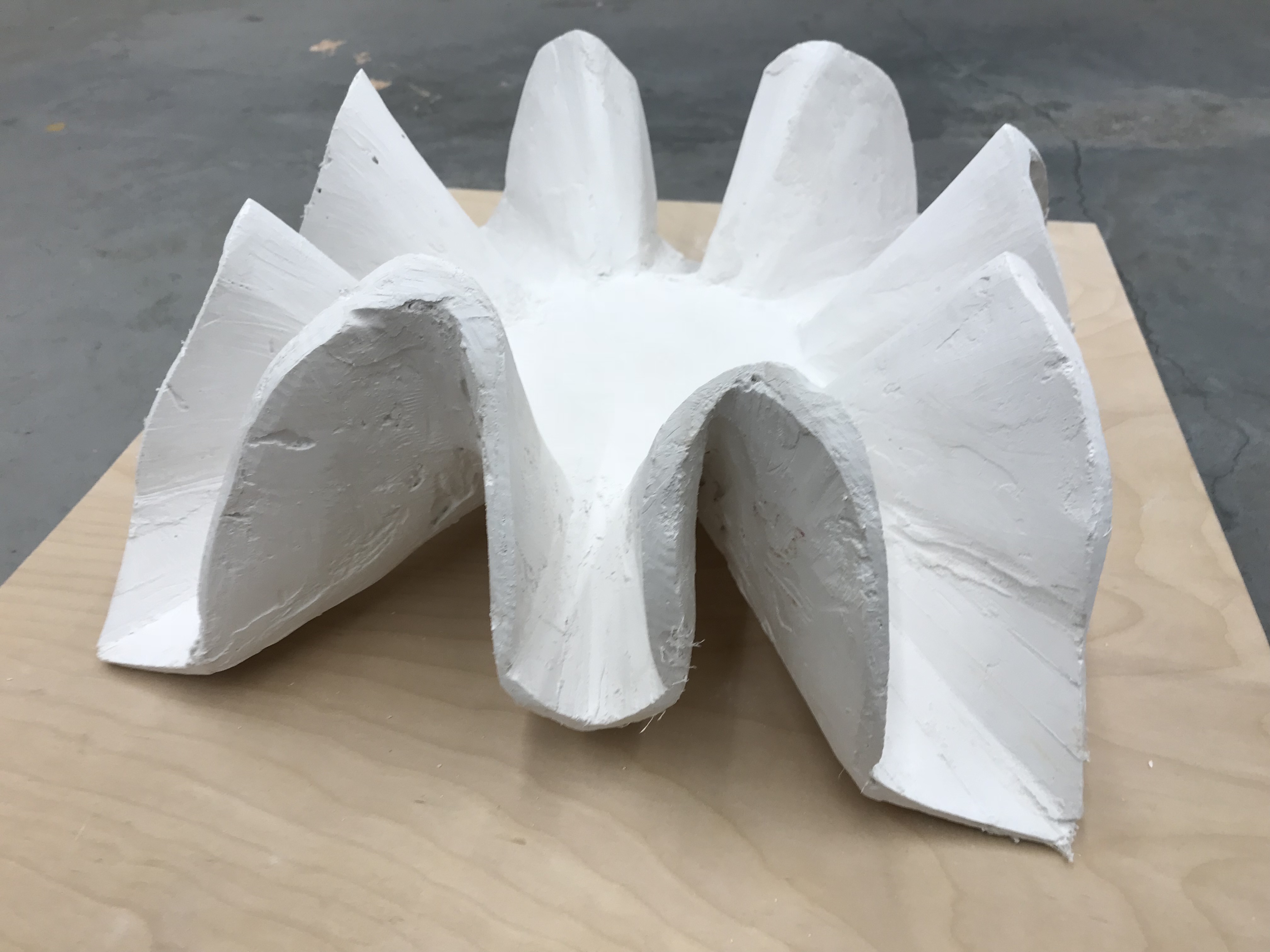 Plaster Casting Project