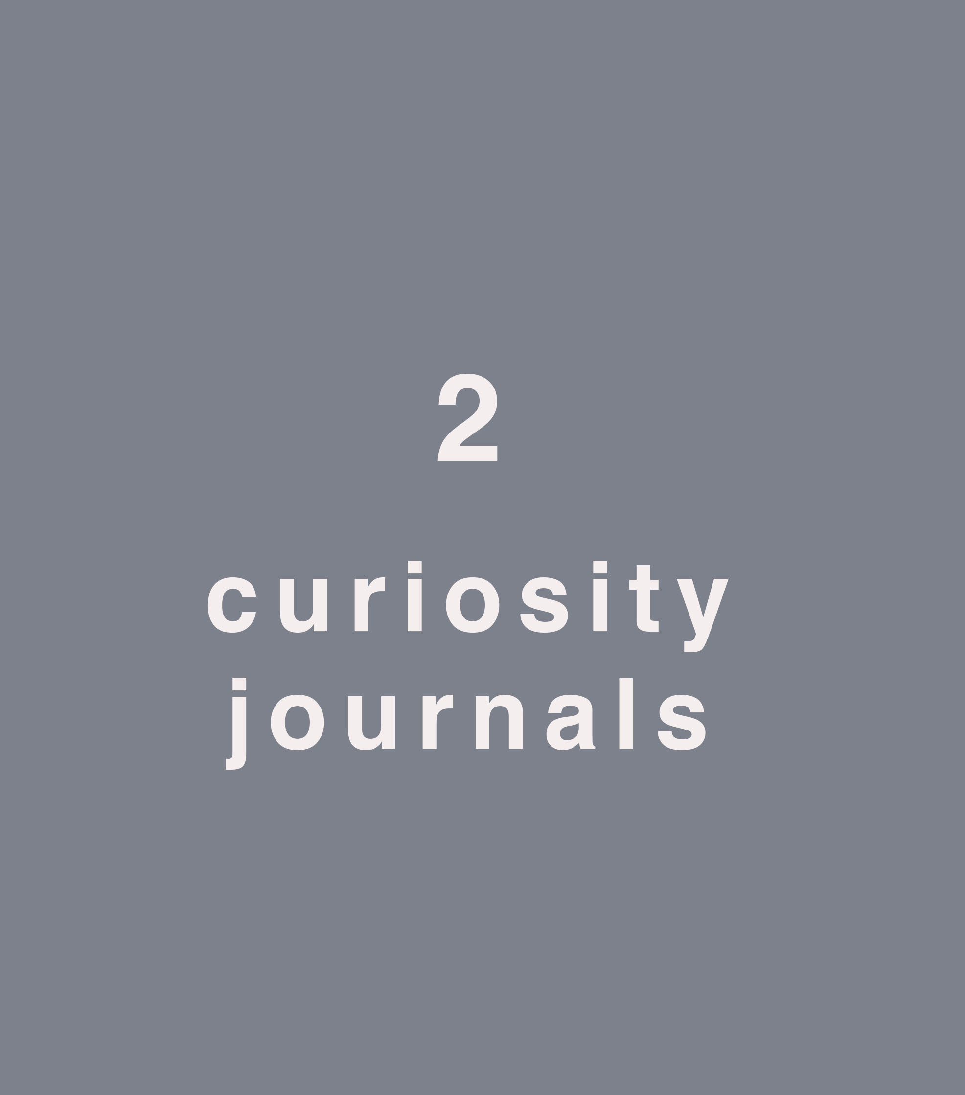 Curiosity Journal