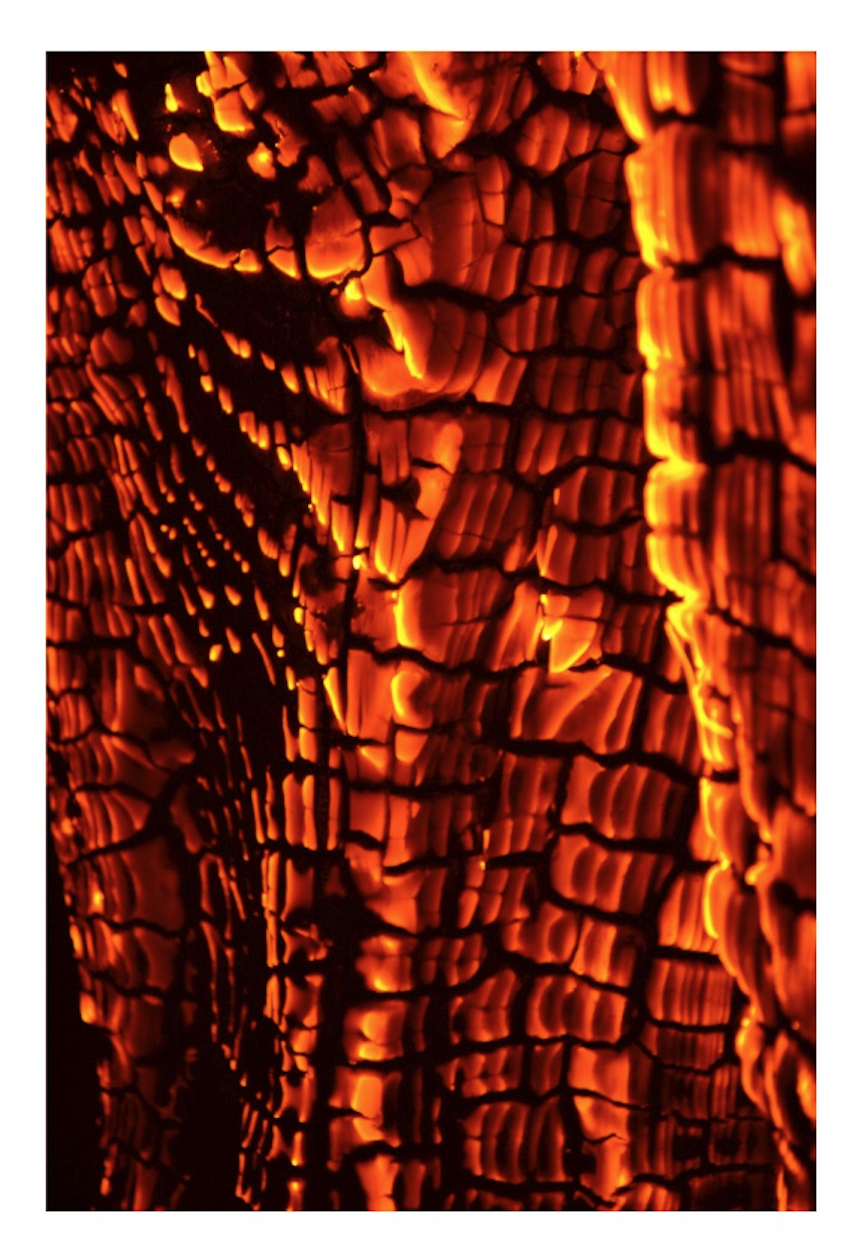 Fire sculptures, photographies of burning almond trees _ texture researches