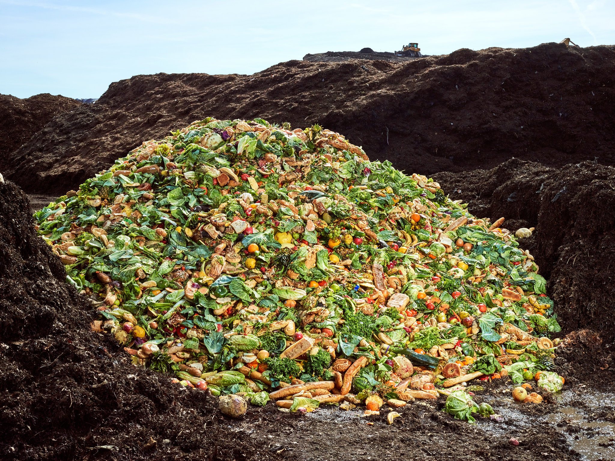 The Compost King of New York by Elizabeth Royte Reflection