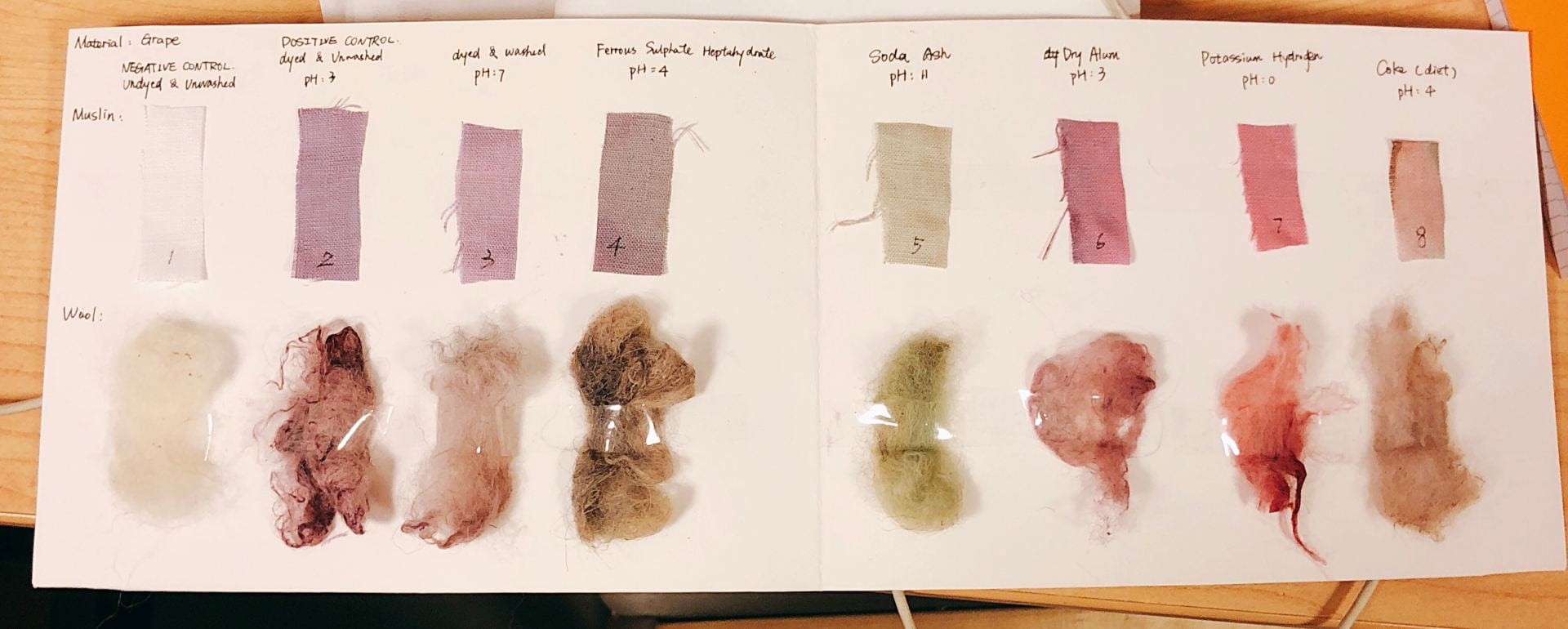 Sustainable System: Natural dye