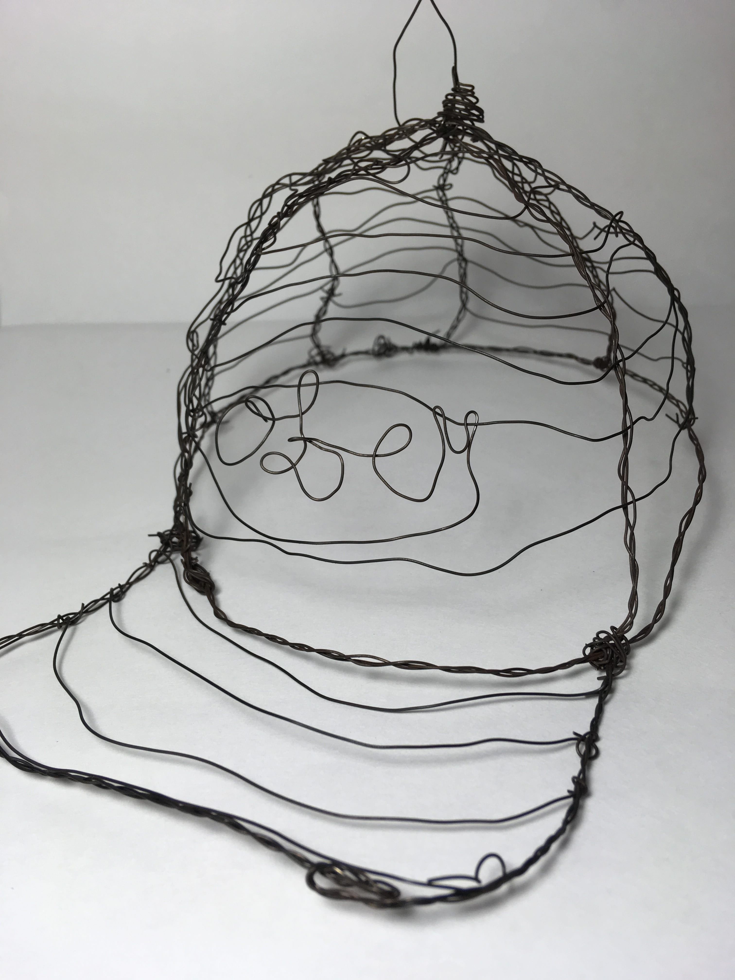 3-D Wire Project: Obey Hat