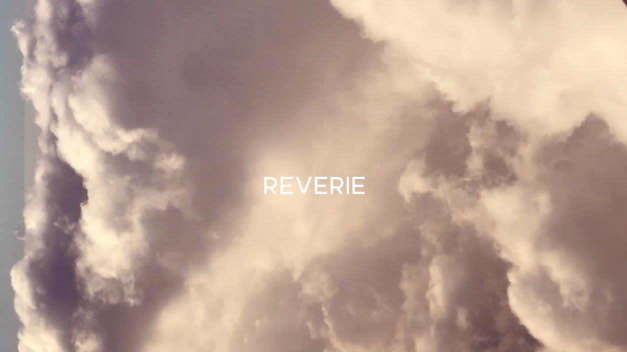 project 3 REVERIE