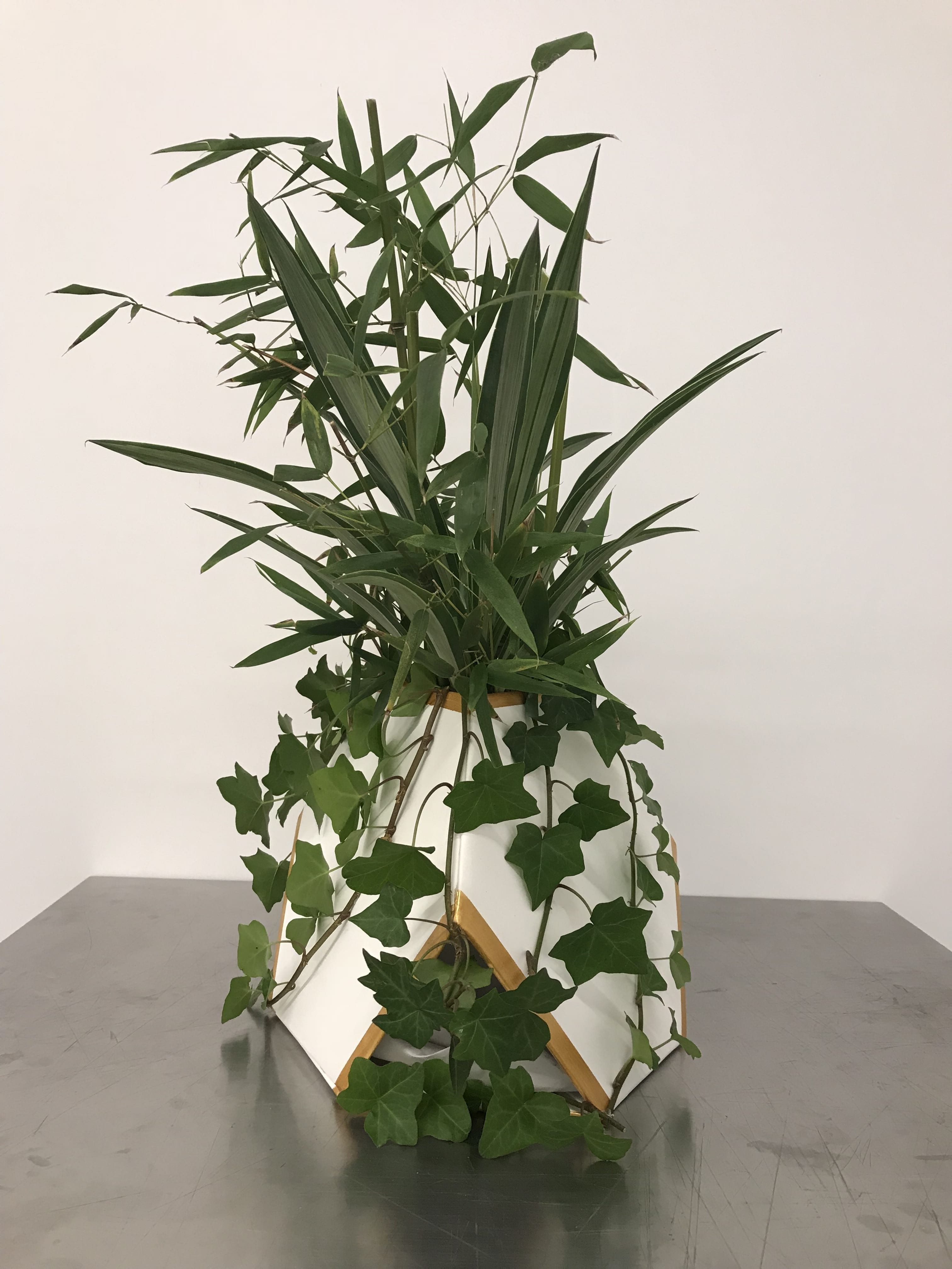 Int. Studio Botanical Sculpture