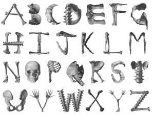 skeleton-alphabet