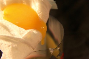 Egg Yolk Pouring 2