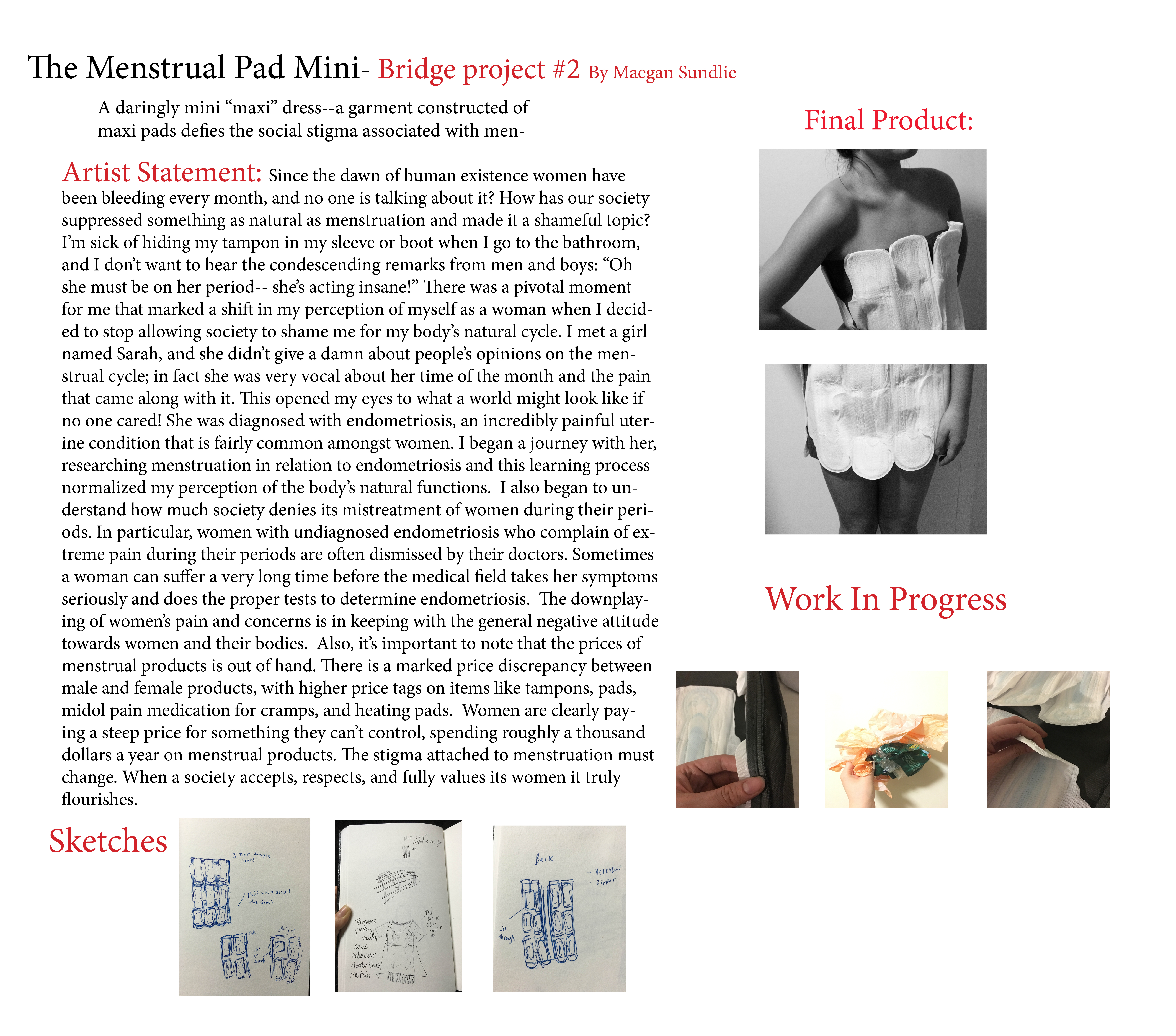 The Menstrual Pad Mini- Bridge Project #2