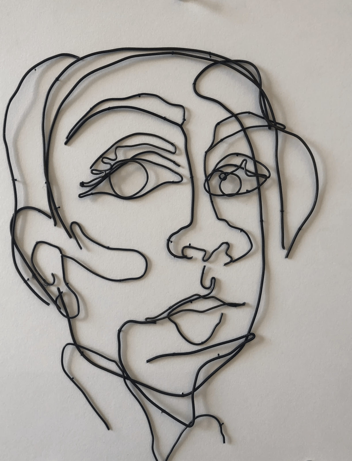 Wire Portrait