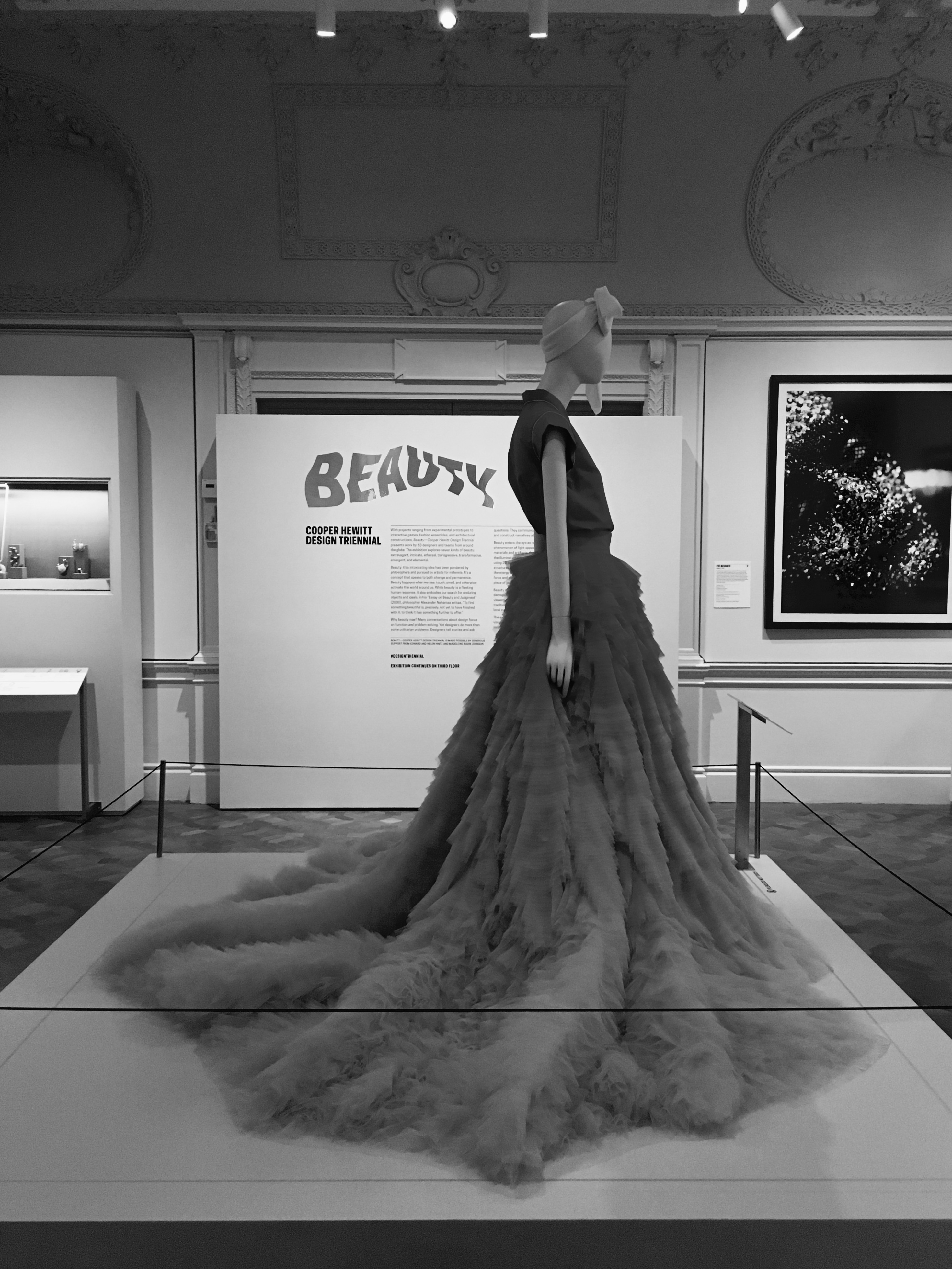 Beauty—Cooper Hewitt Design Triennial: Research Project.