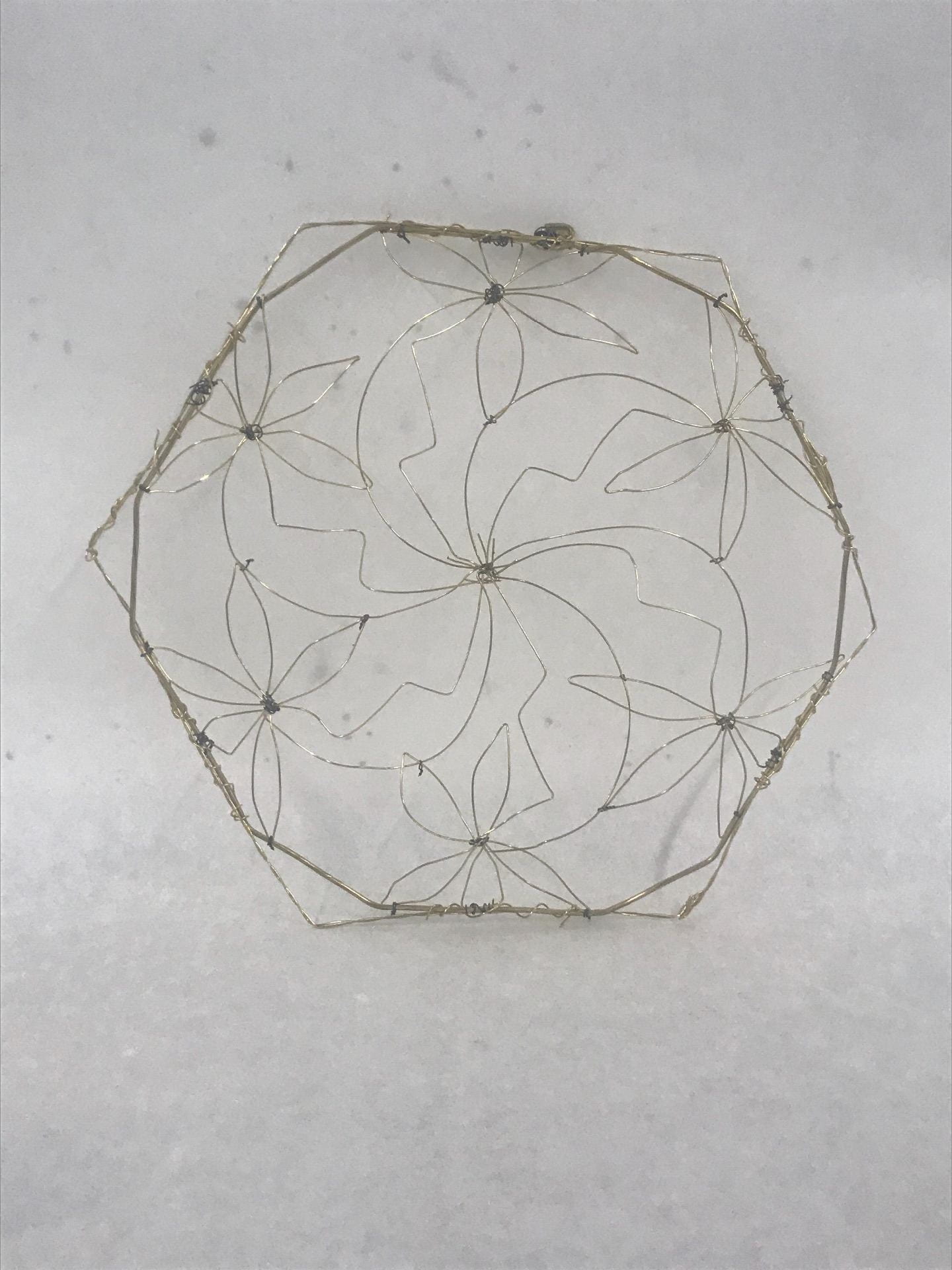 Wire Hexagonal Form