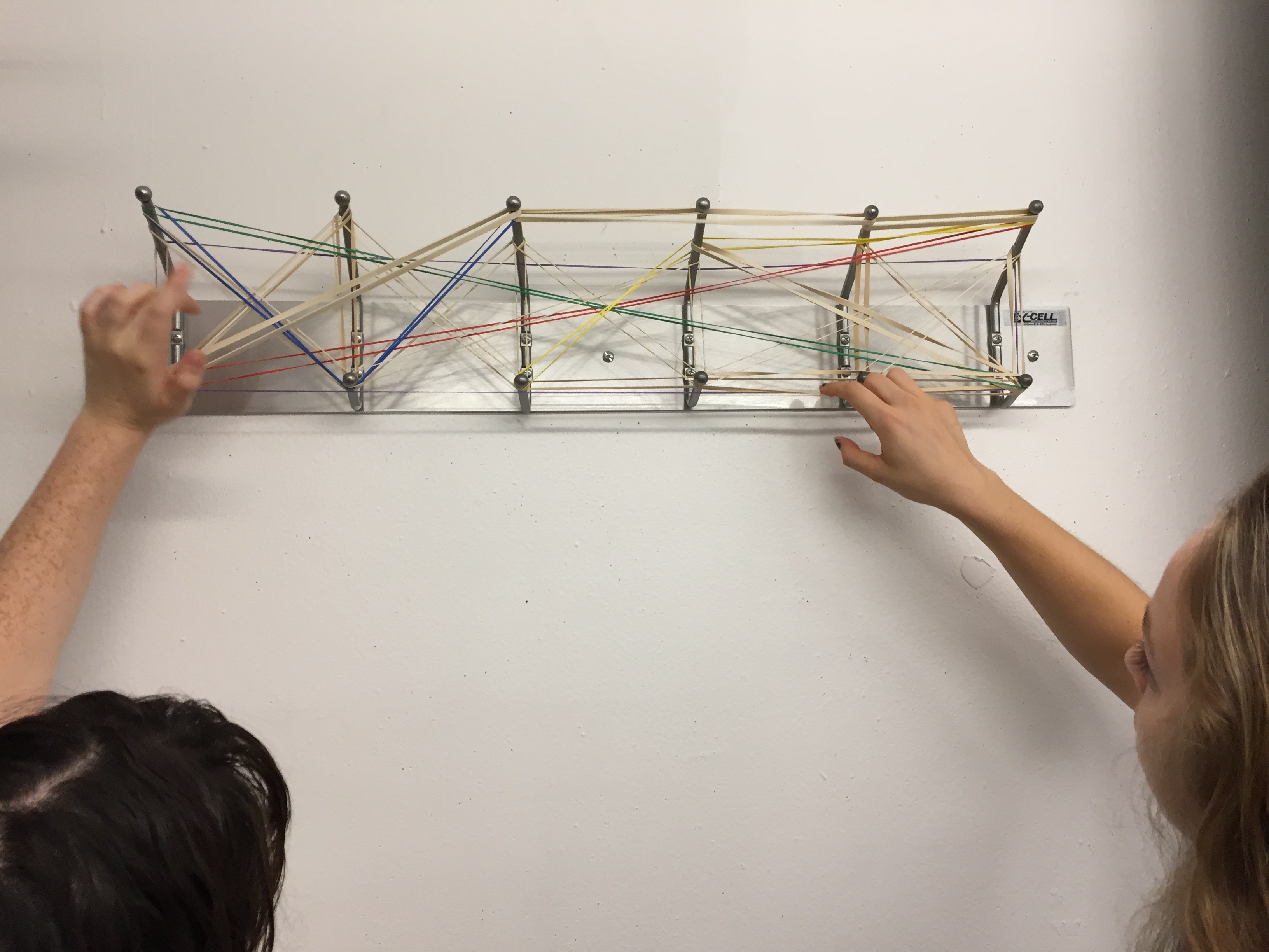 In-Class Rubber Band Task